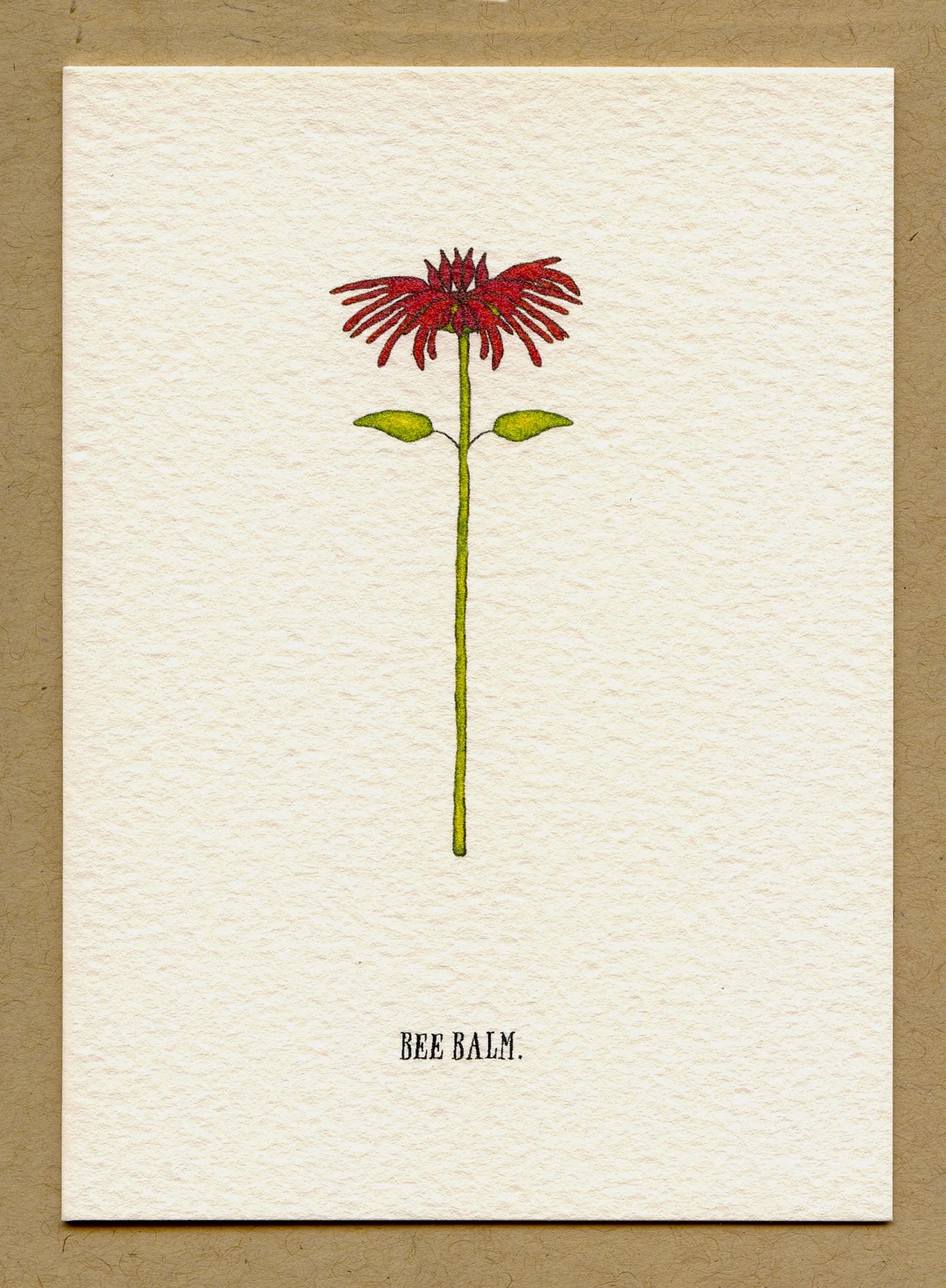 bee_balm.jpg