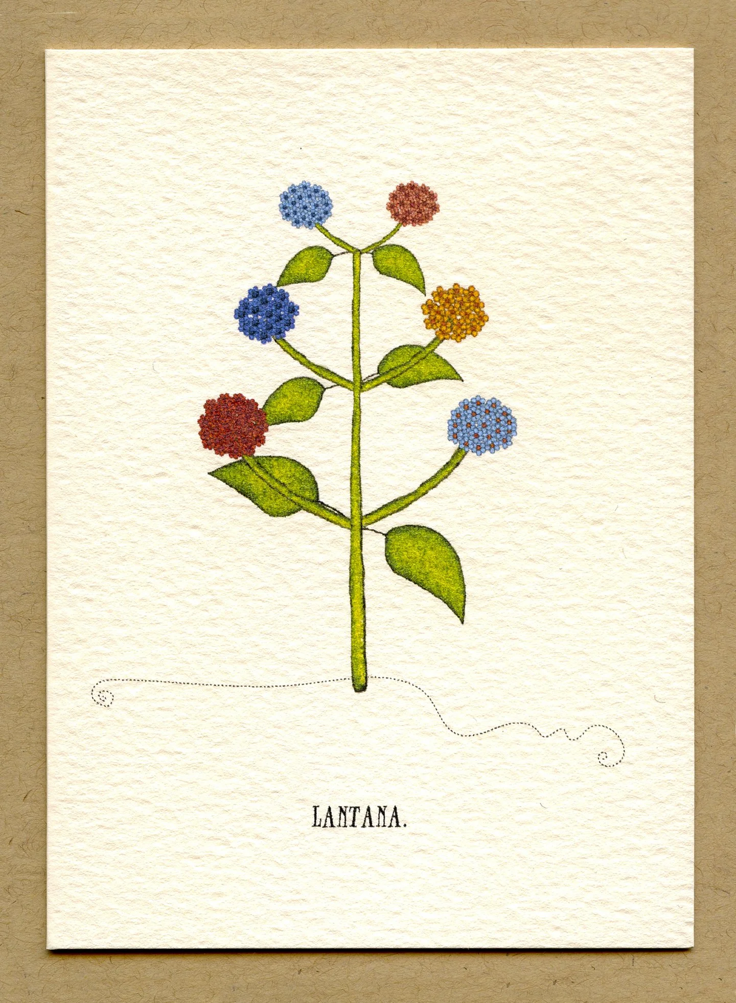 lantana.jpg