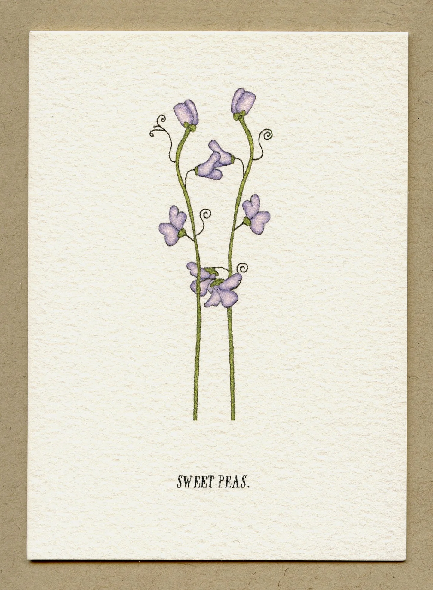 sweet_peas.jpg