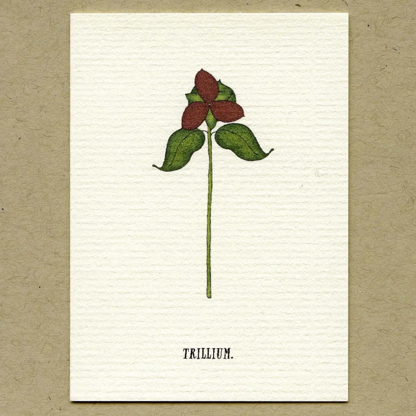 trillium.jpg