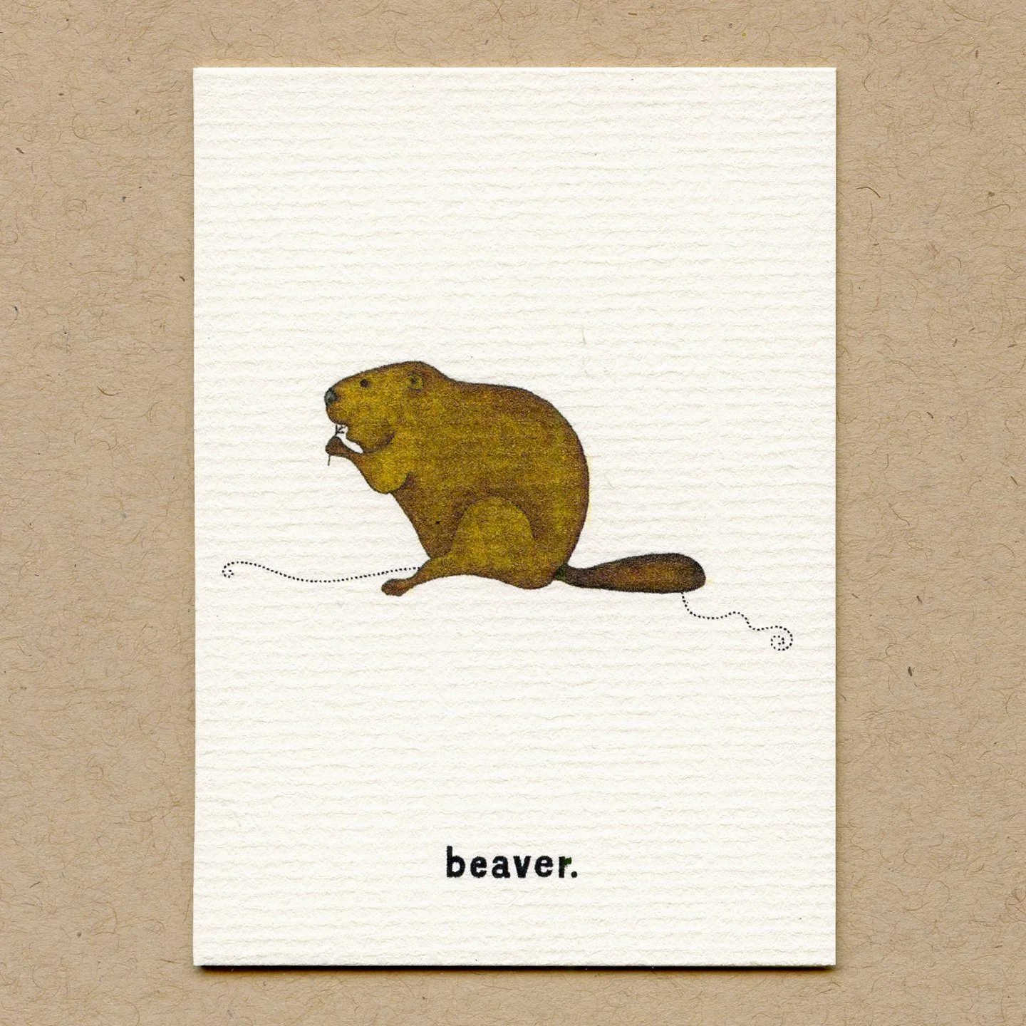 beaver.jpg