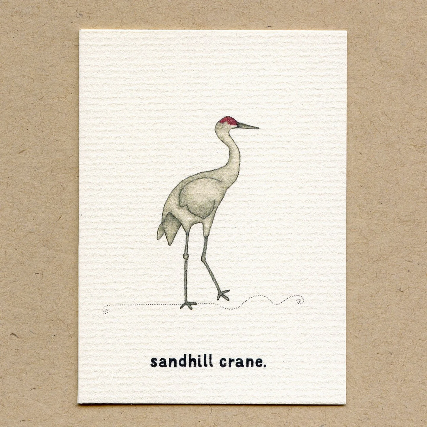 sandhill_crane.jpg