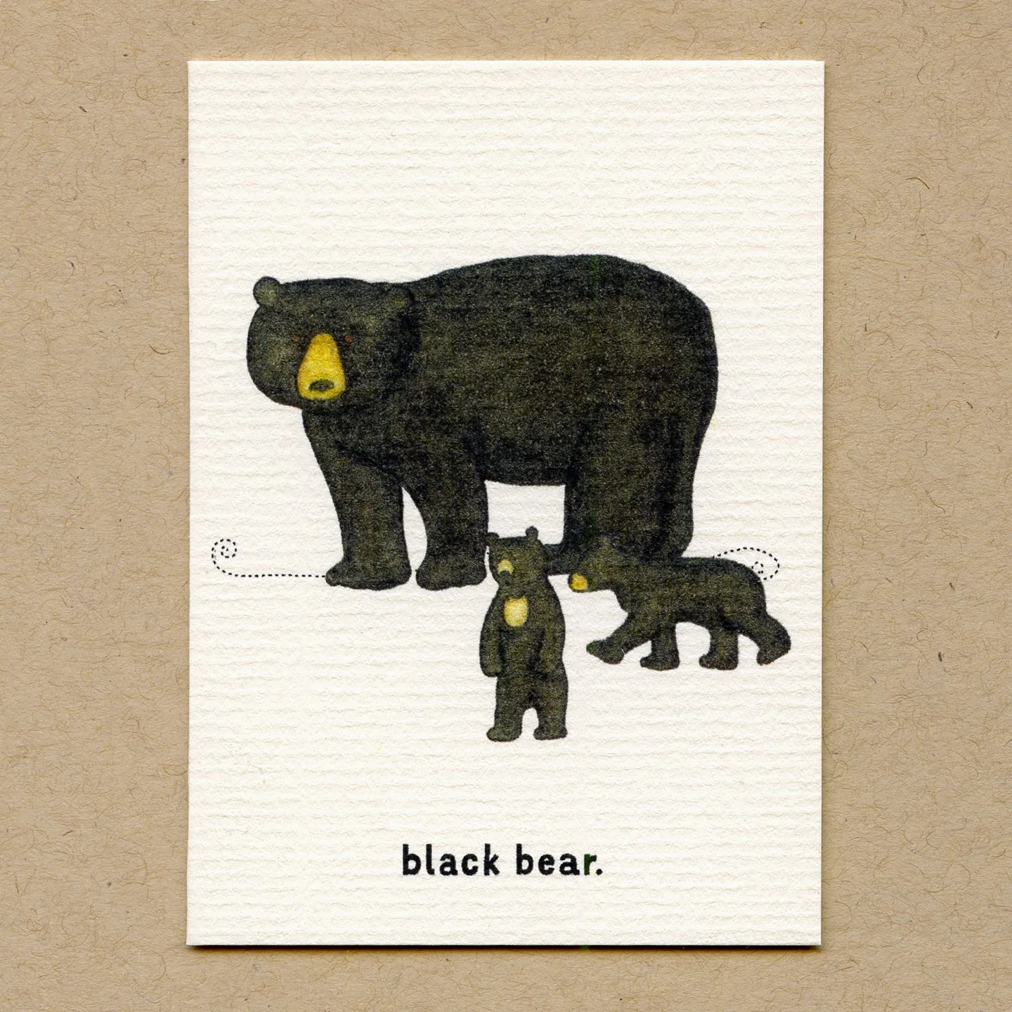 black_bear.jpg