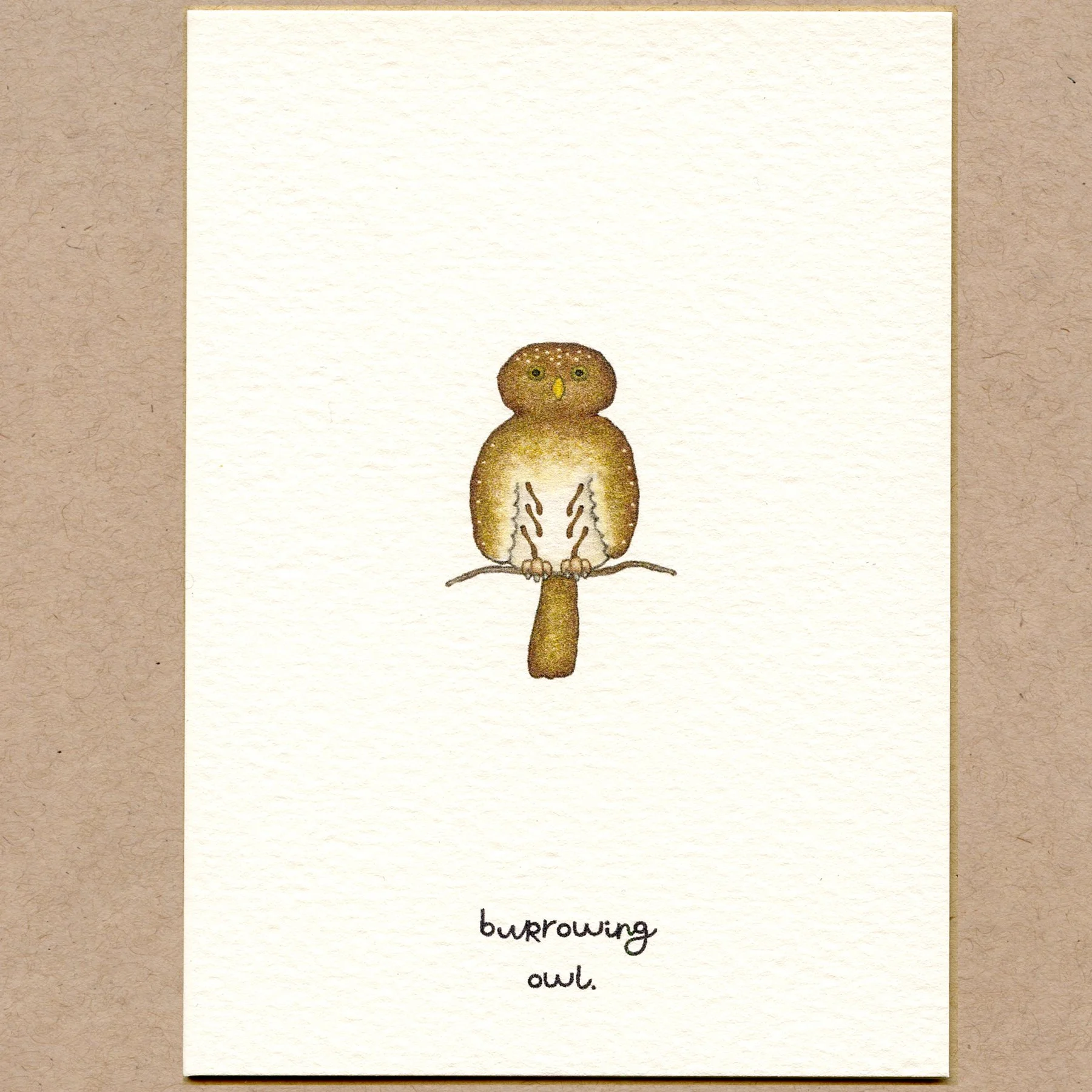 burrowing_owl.jpg