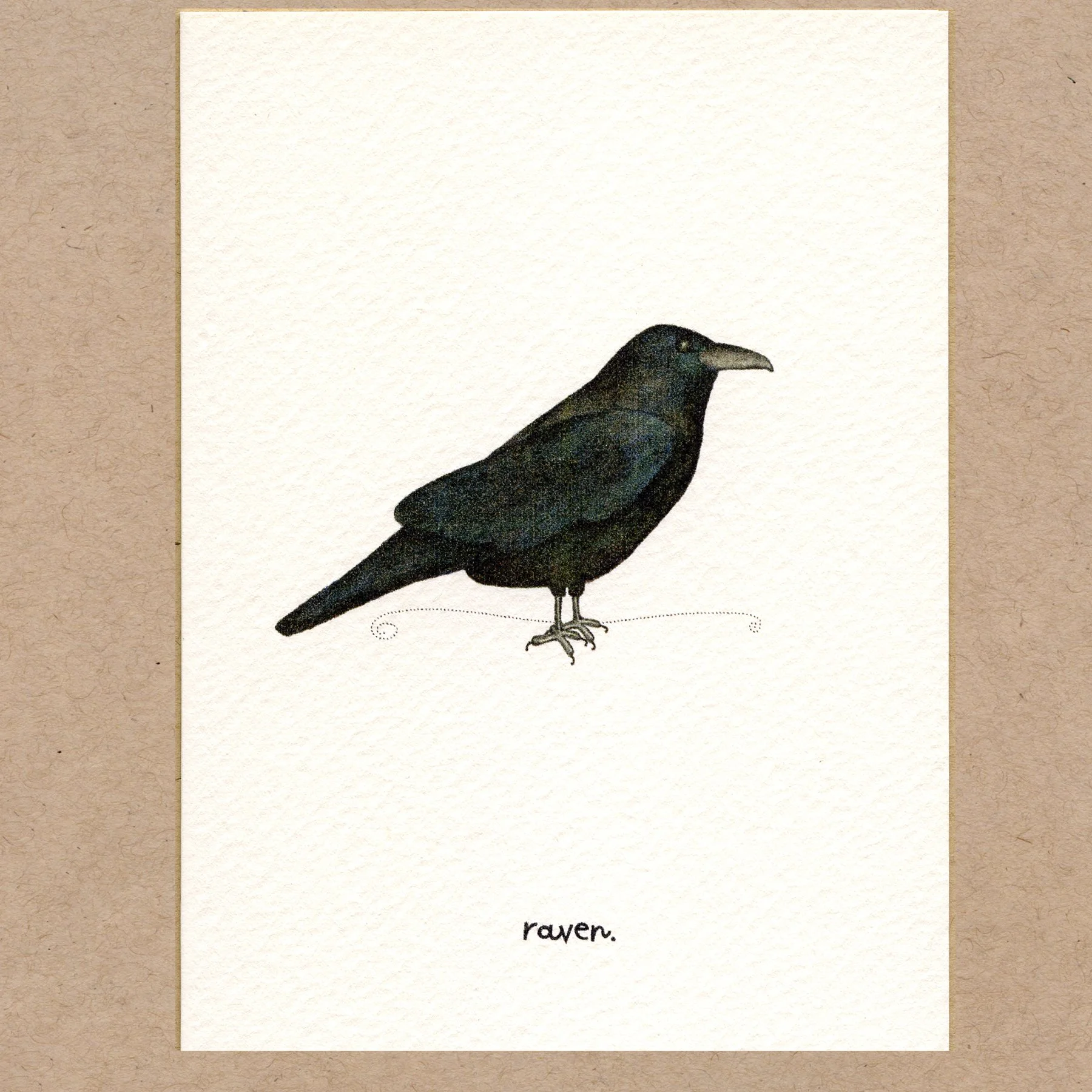 raven.jpg