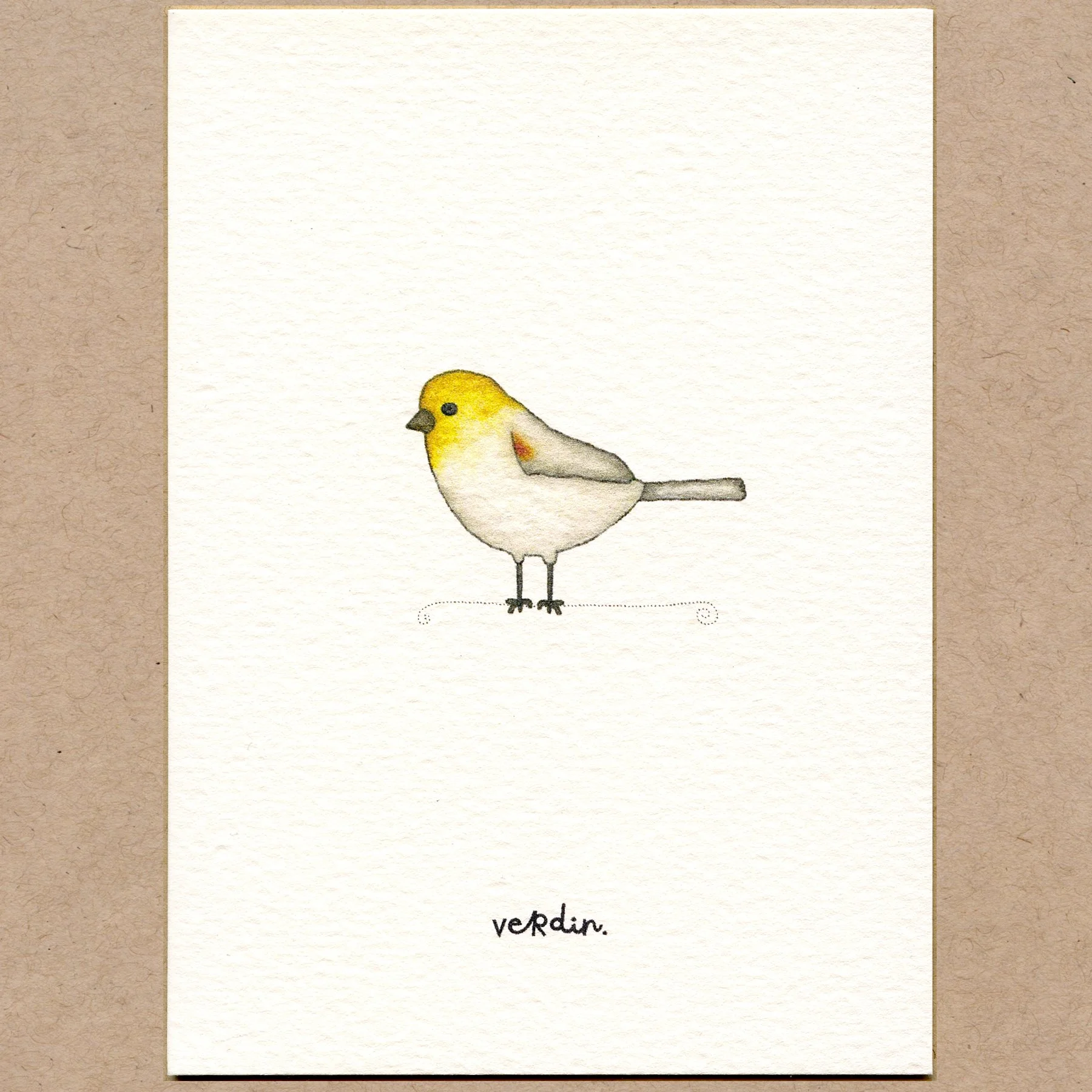 verdin.jpg