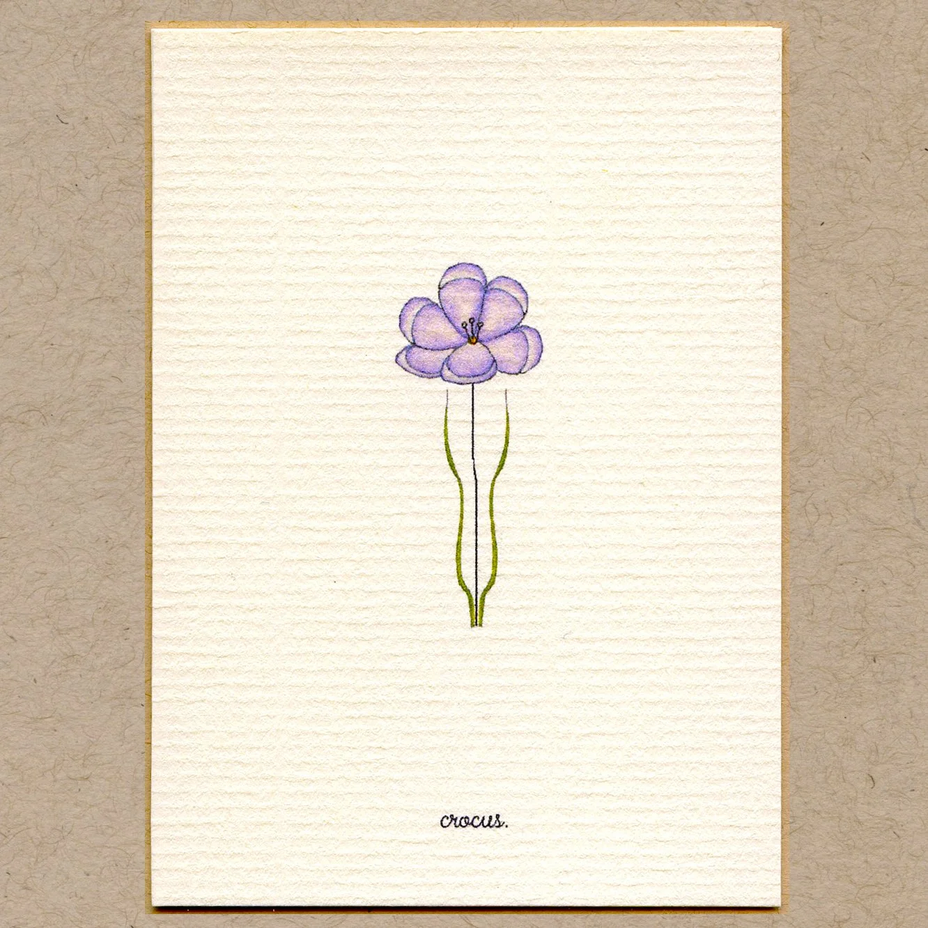 crocus.jpg