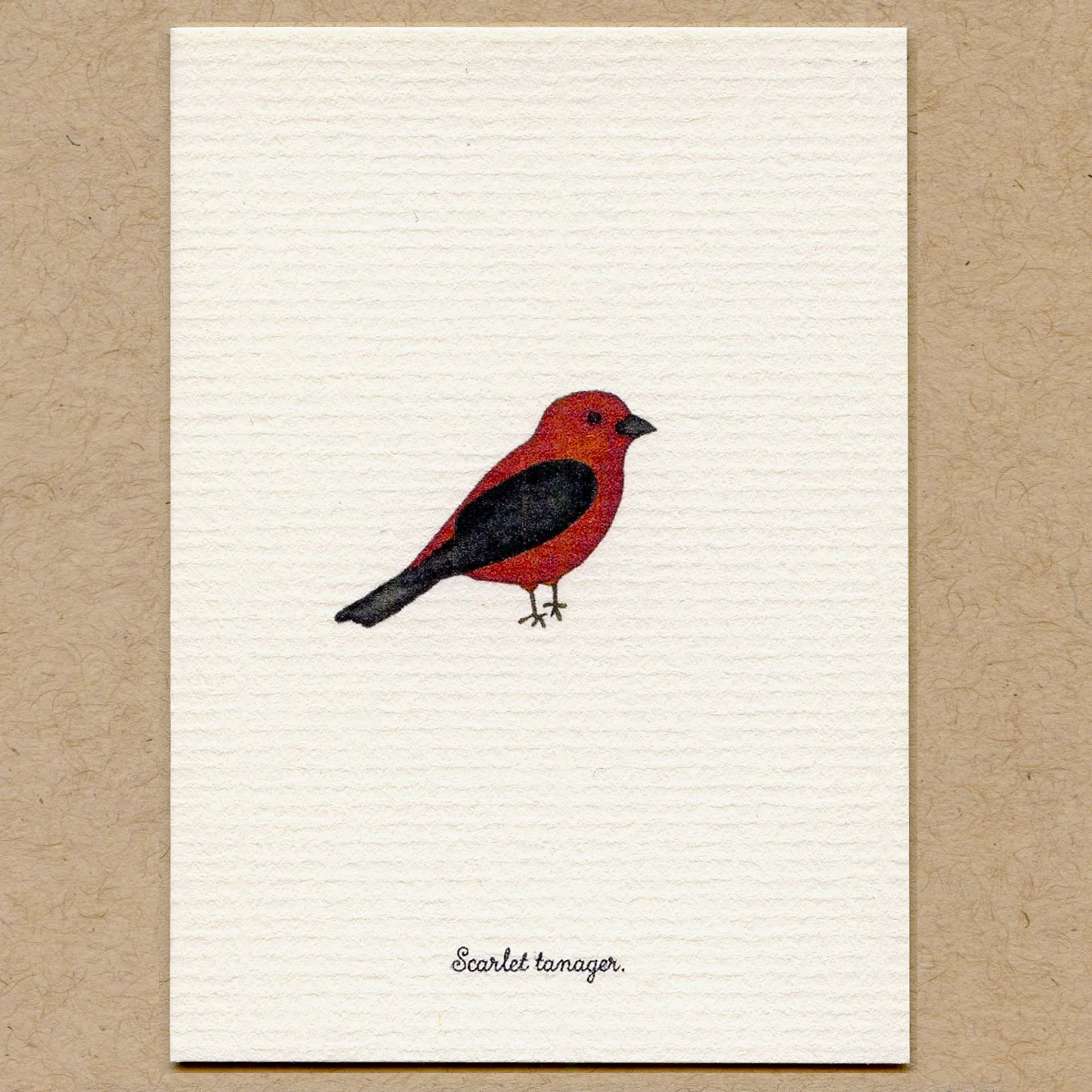 s_tanager.jpg