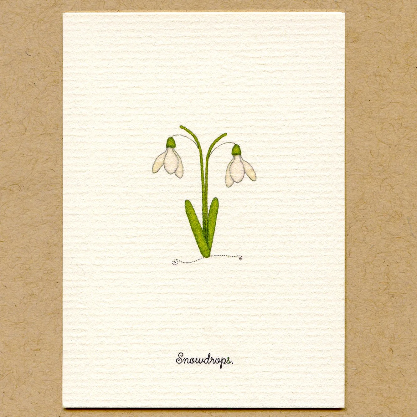 snowdrops.jpg