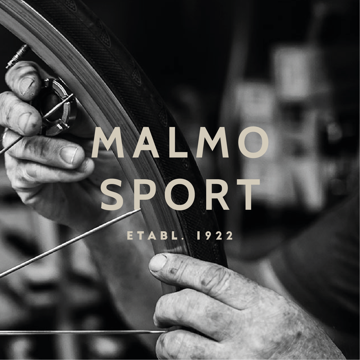 Malmo Sport