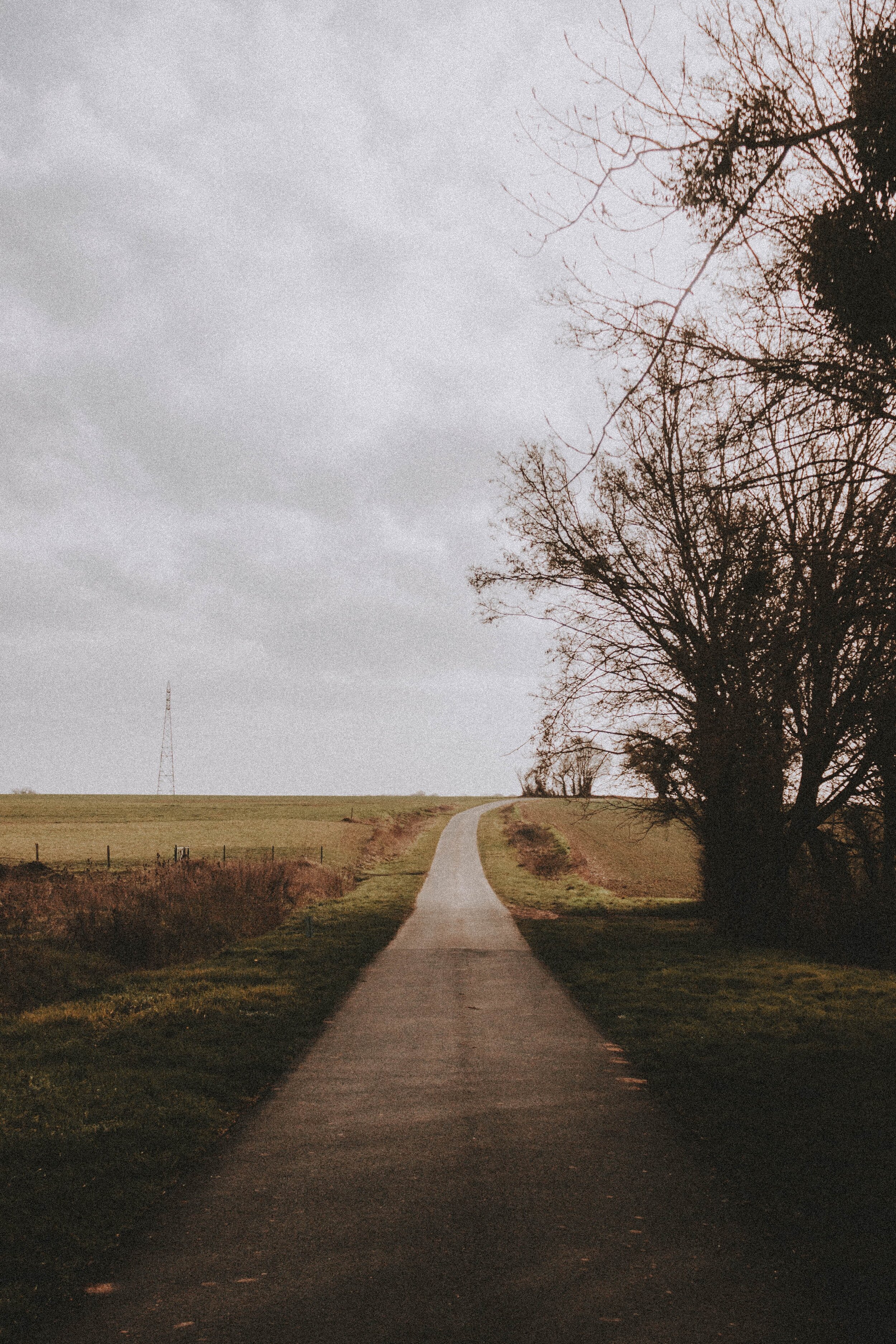 pexels-mathias-pr-reding-6931474.jpg