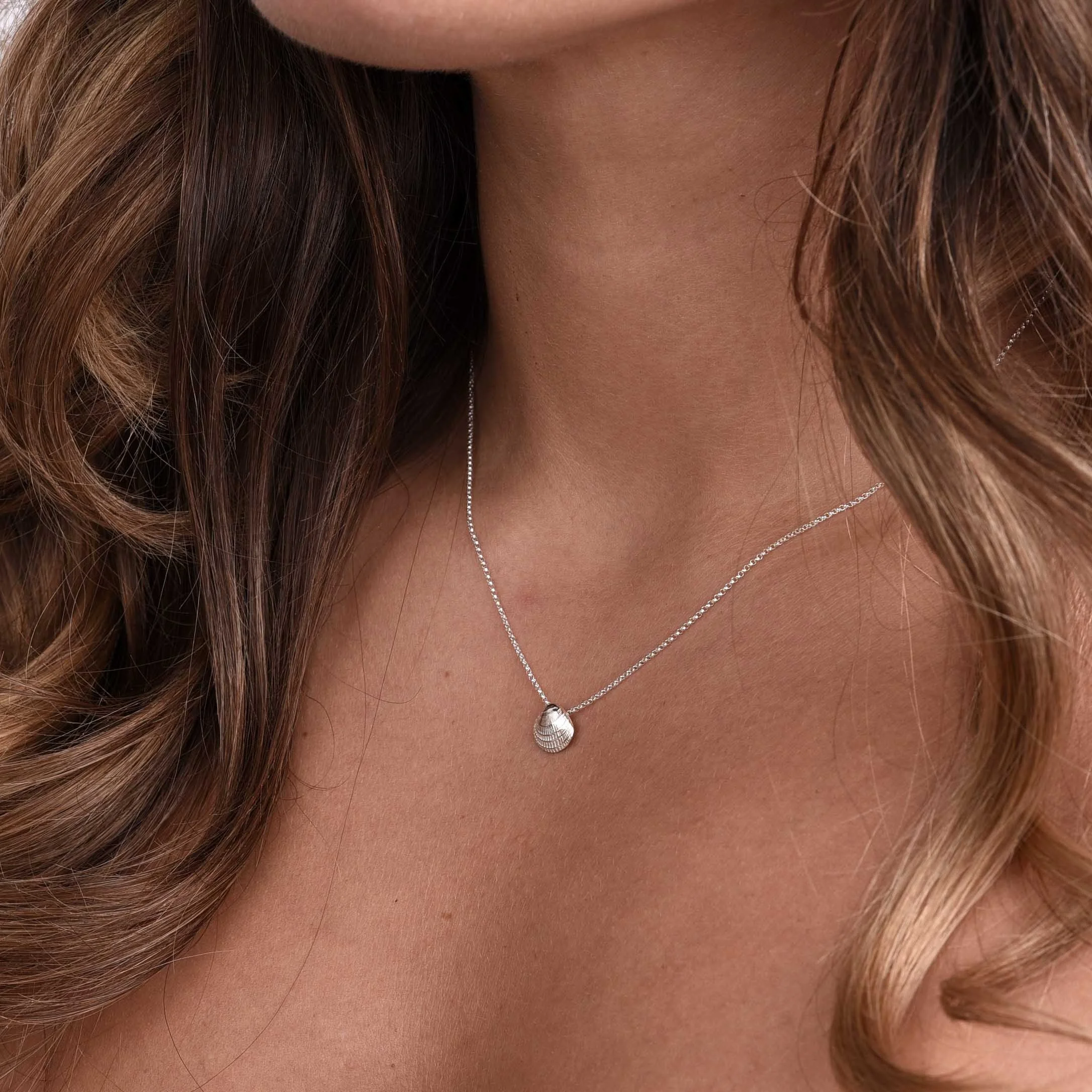 Tiny Shell on Model.jpg