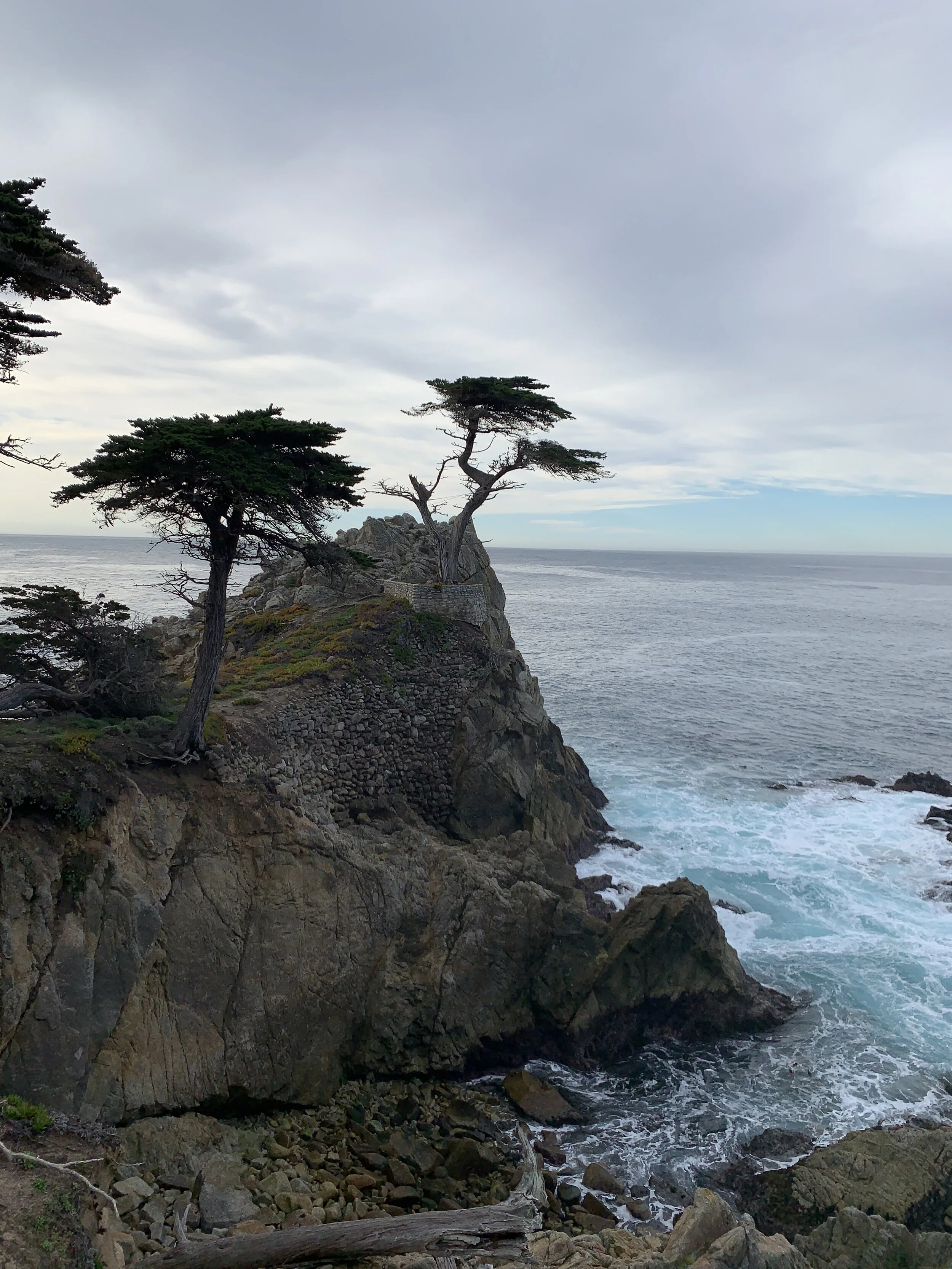 Coastal scene with rocky cliffs and waves crashing against rocks, two windswept trees growing on the cliff's edge, overcast sky.