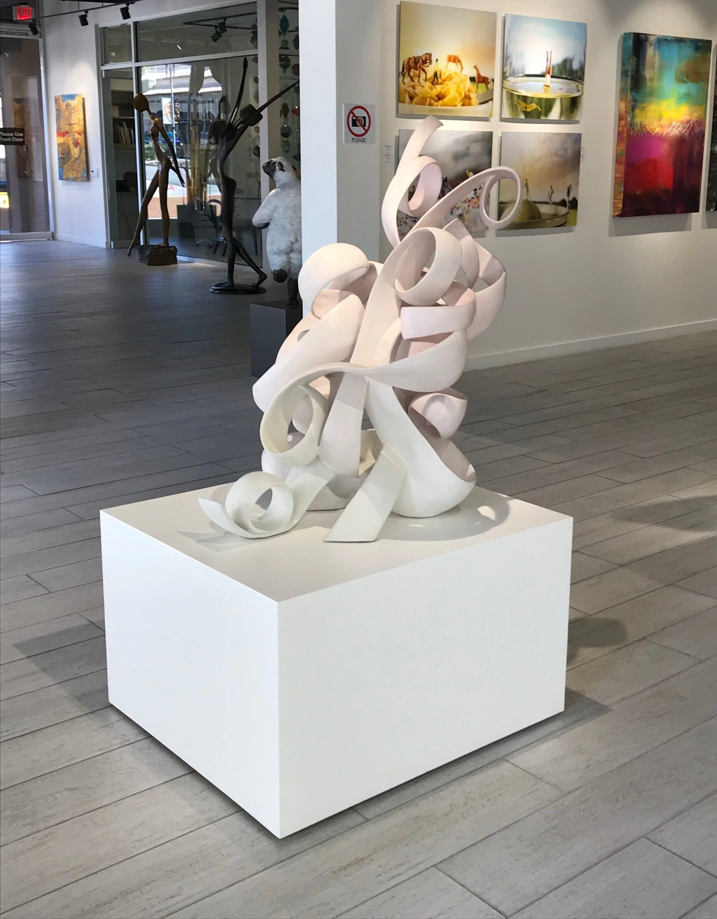 DustUp_in_gallery.jpg