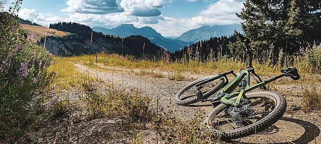 Beginner Mountain Biking
