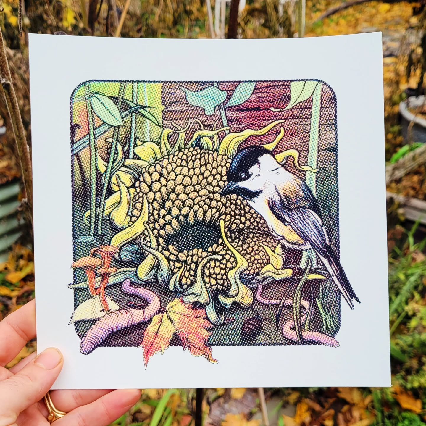 Took a rad CMYK screenprint class at @mirabo.press Thanks @mizinshin for leading a great workshop! Excited to experiment more with this process in my work. 
Digital illustration of this chickadee enjoying the last bits of fall in my garden turned int