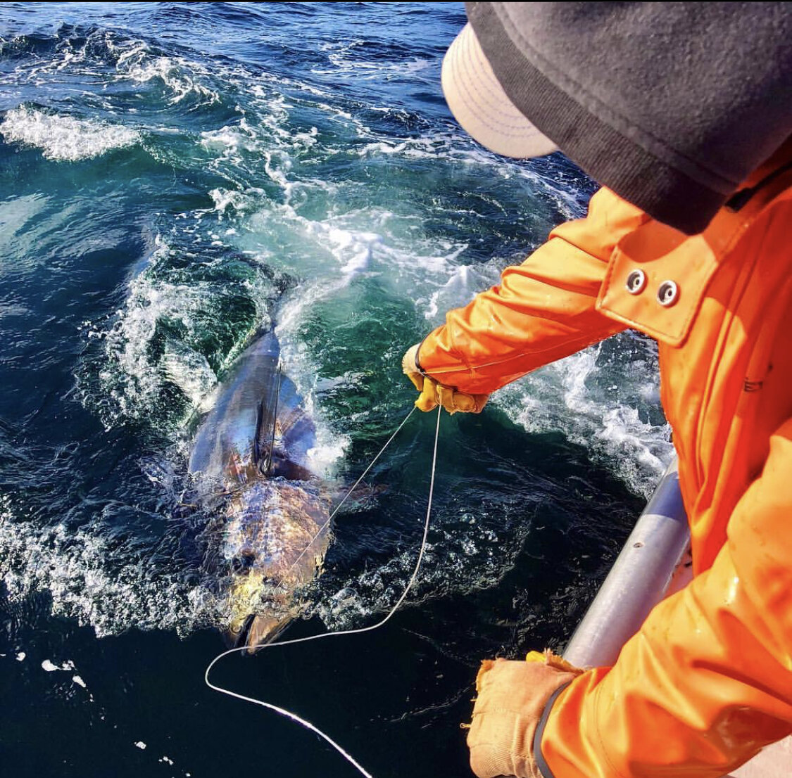 PEI Bluefin Tuna Charter