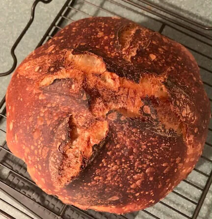 Where to Buy Flour in Boston for Making Bread &amp; Sourdough Starters - Quarantine Baking