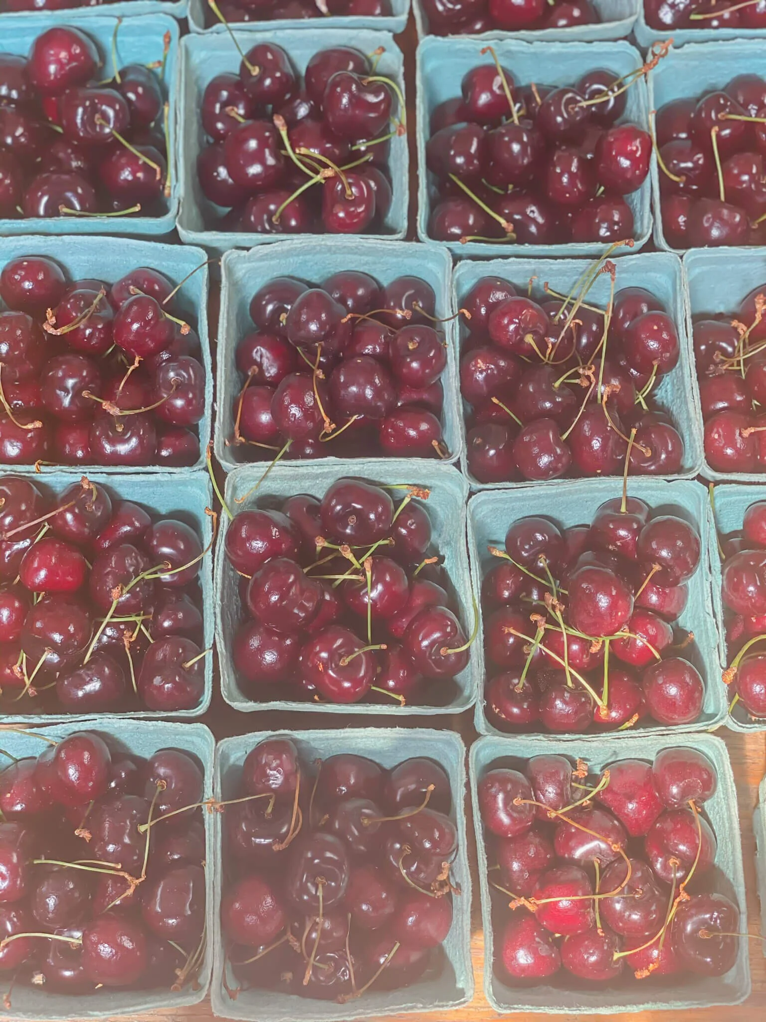 Weekend Adventures: A Hike &amp; Farm in the City 