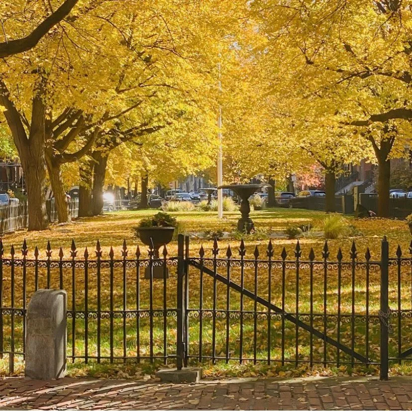 4 Local Spots to Get Your Boston Fall Foliage Fix