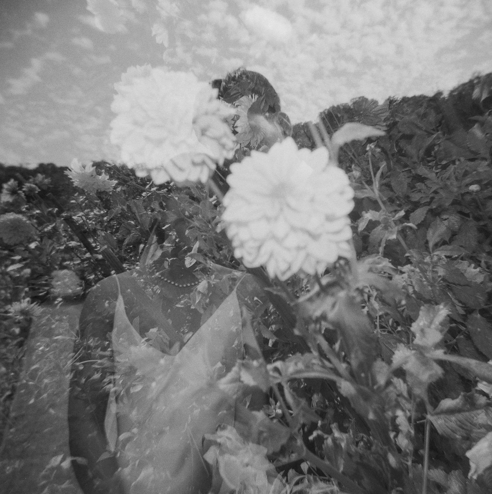 9-5 -25-Jerry-Alyssa-Tivoli-Gardens-Elopement-Cat-Coppenrath-Photo-225_websize.jpg