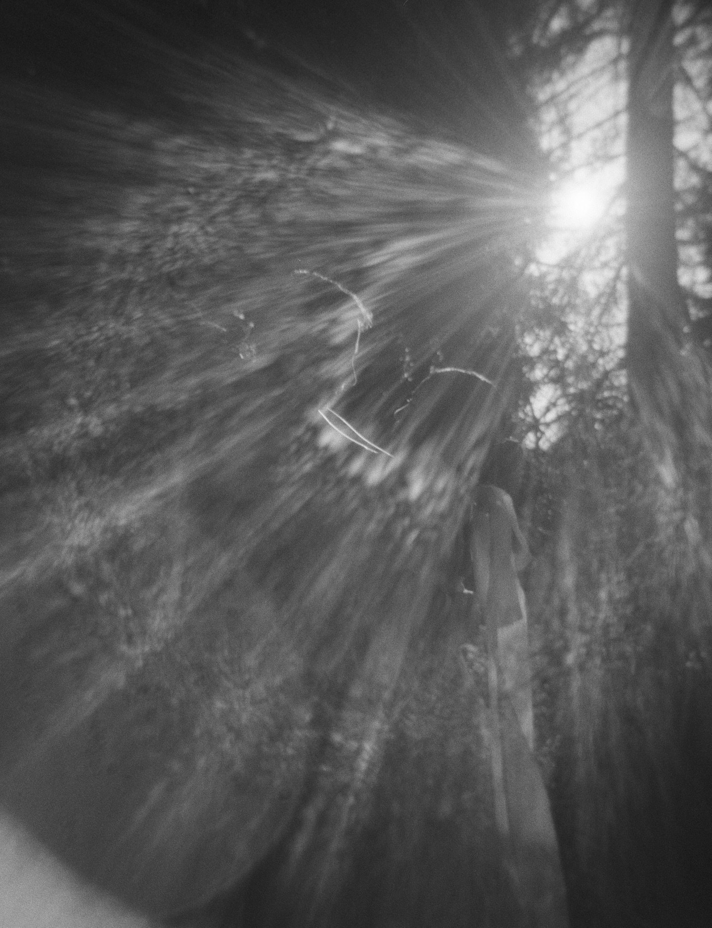 Light as protagonist ✨

For Elaine &amp; Ethan on film in Oakland last Fall. 🎞️

Film Wedding Photographer
Creative Portrait
Photographer for Artists
Storytelling Photography
Oakland Photographer