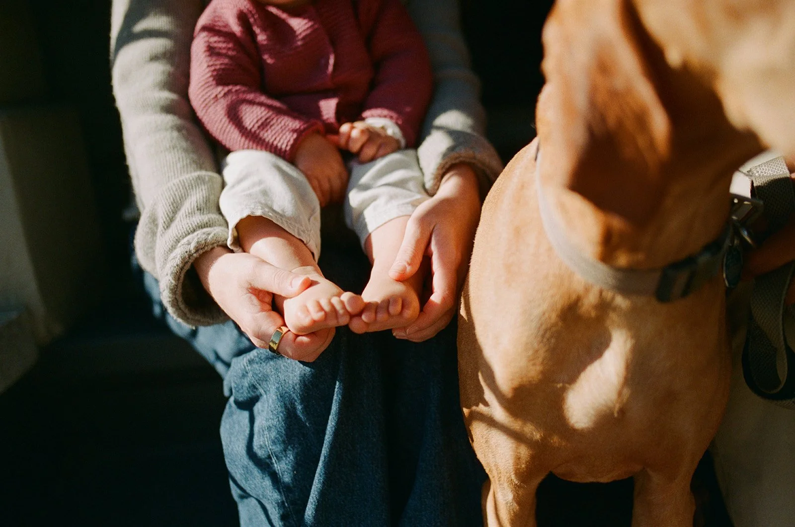 11-22-Lily-Family-Session-71_websize.jpg
