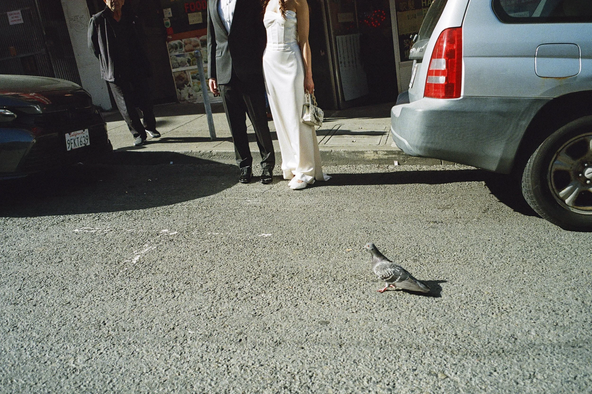 Three people standing on a sidewalk near parked cars, one person dressed in a white outfit holding a small handbag, with a pigeon walking nearby on the street.