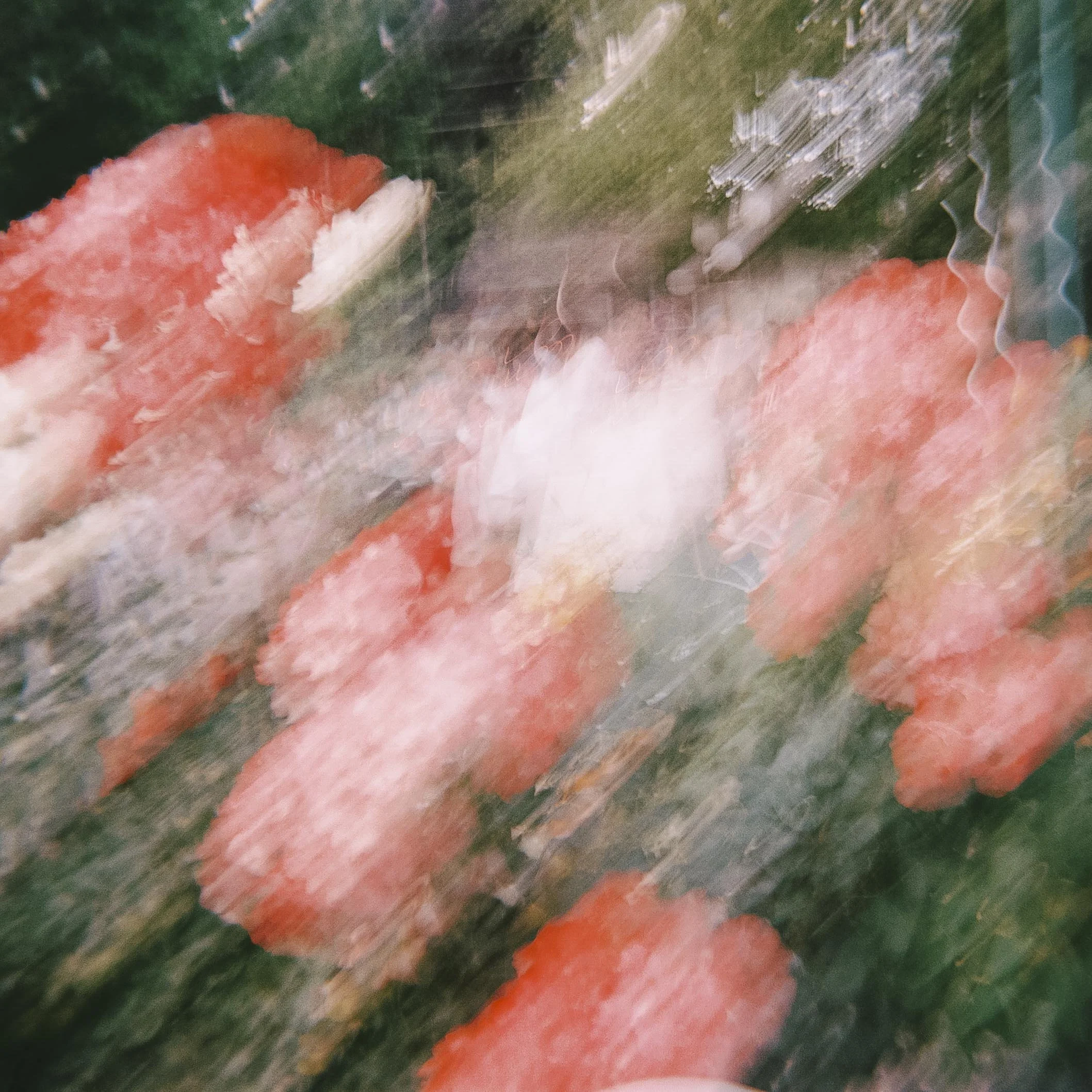Blurred image of orange and pink flowers outdoors.