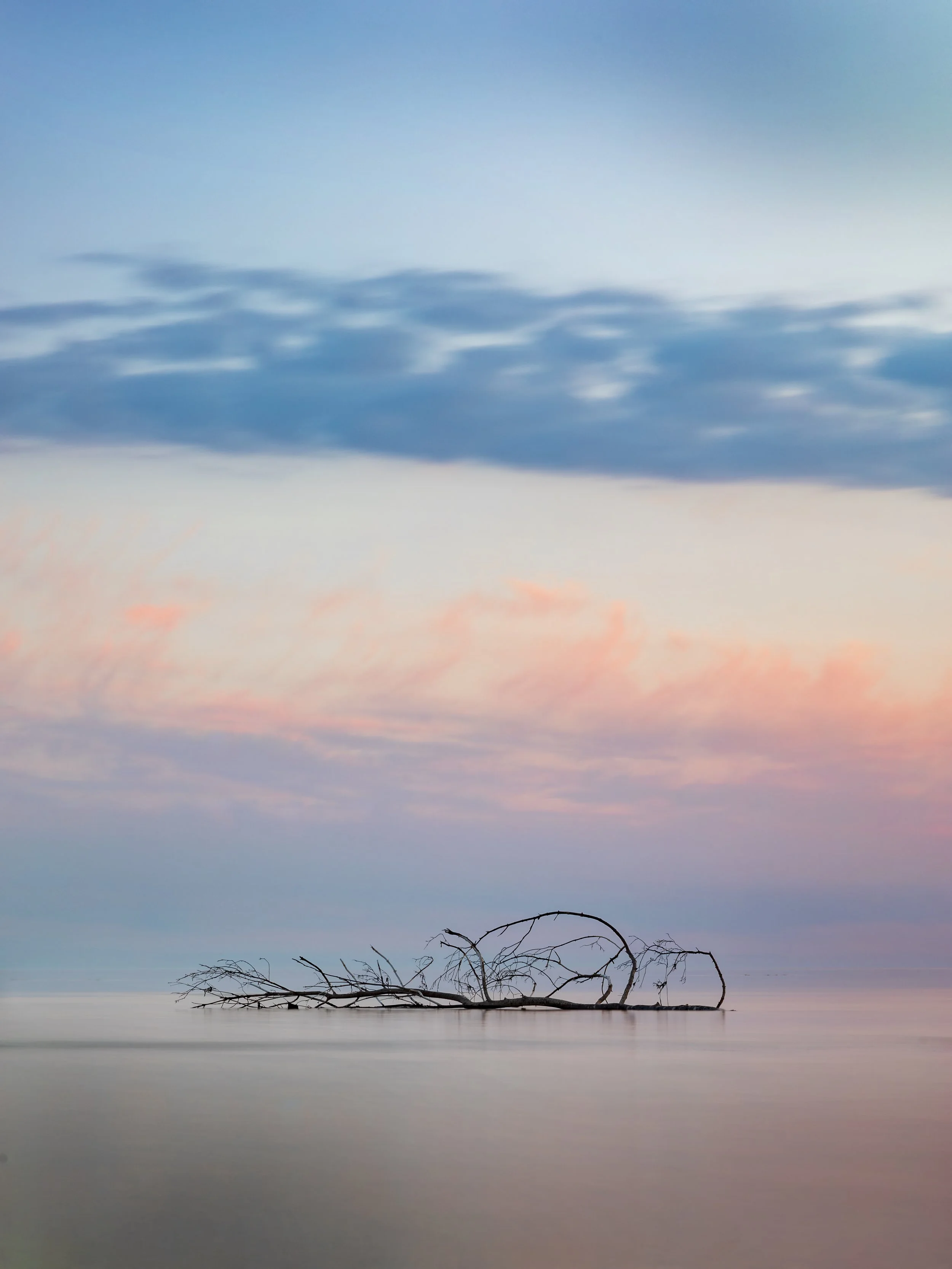 beach_find_II_alundskog.jpg