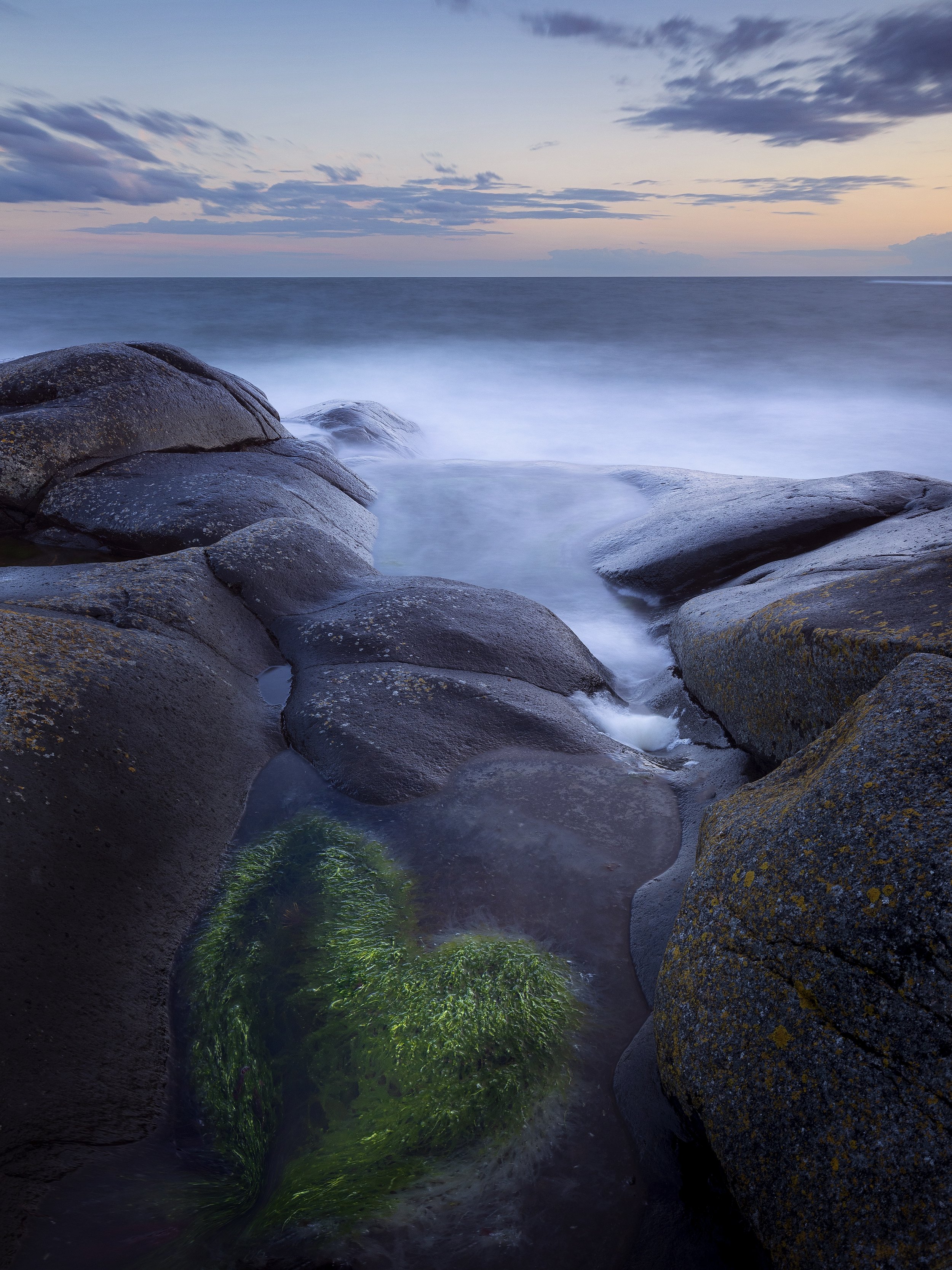 heart_swedish_westcoast_alundskog.jpg