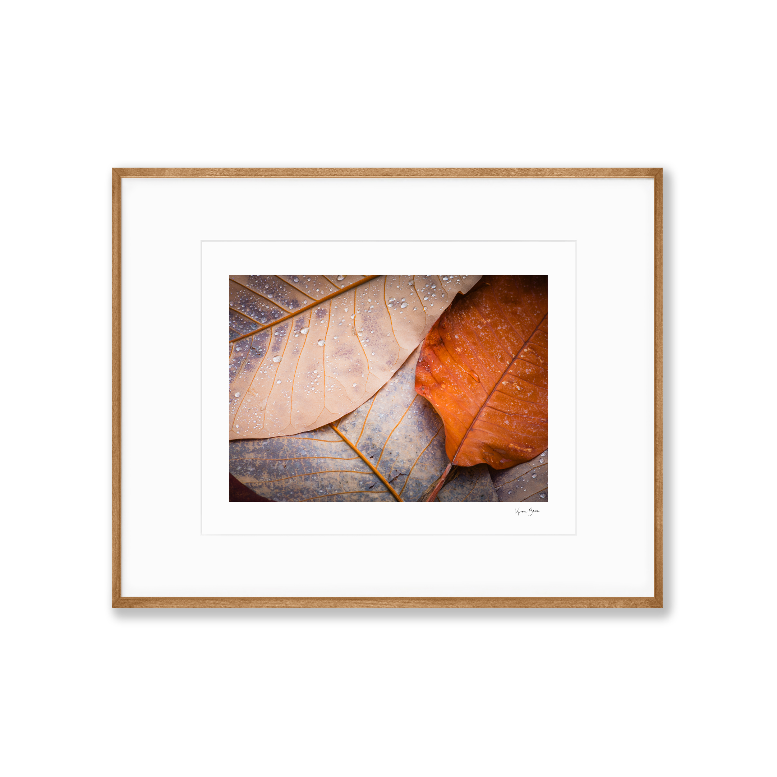 transition squarespacemockup.png