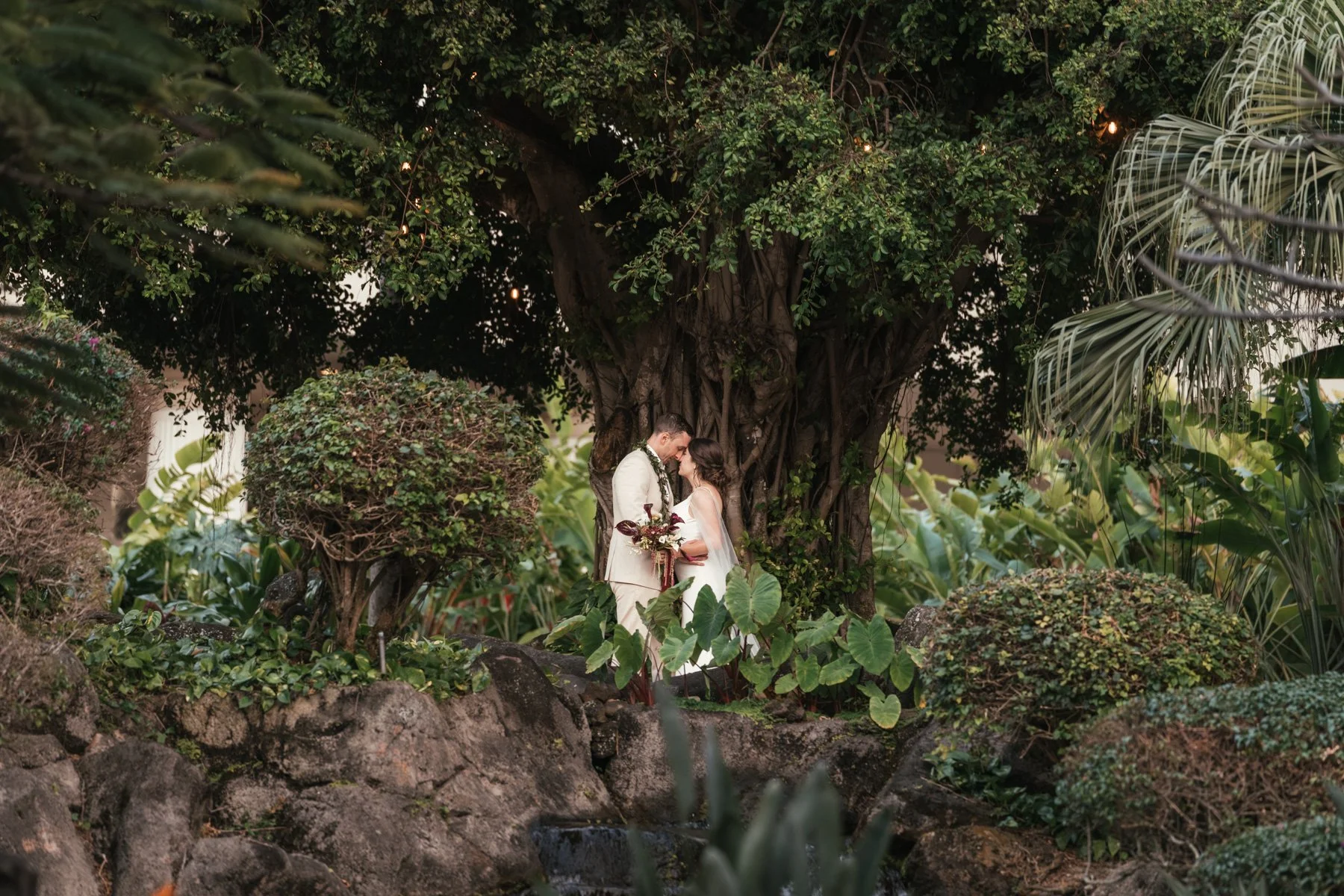 Bride and groom sharing a kiss beneath a large banyan tree in the tropical gardens of Puna Court at the Royal Sonesta Kauai Resort in Lihue