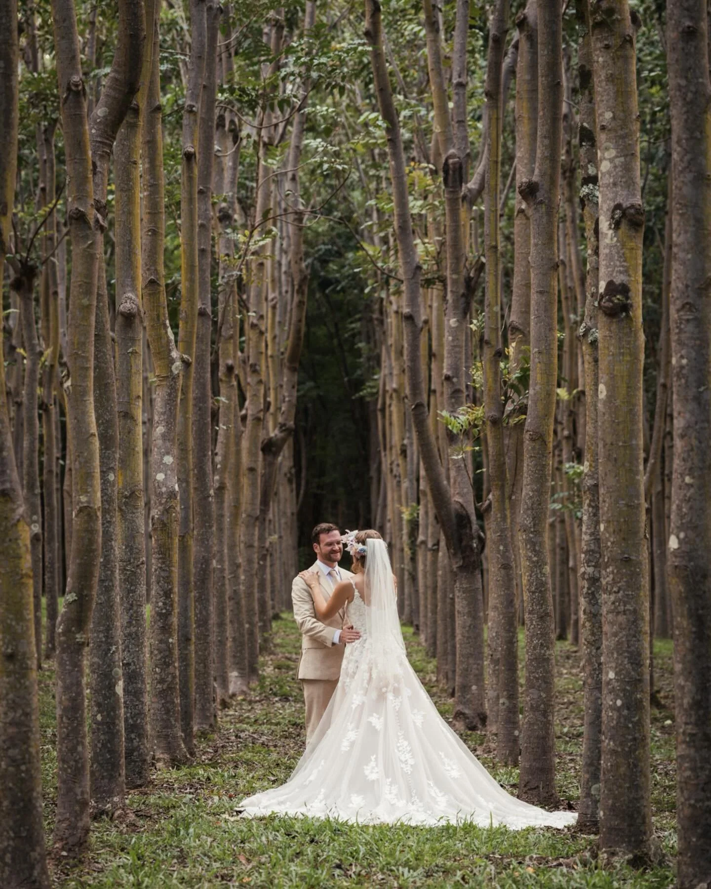Love at Na Aina Kai ✨

Bookings and inquiries at www.ikaika.photo 

.
.
.
.
.
#weddingphotography #weddingphotographer #kauaiphotograher #kauaiphotography #hawaiiphotographer hawaiiphotography kauaiweddingphotographer kauaiweddingphotography kauaiwed