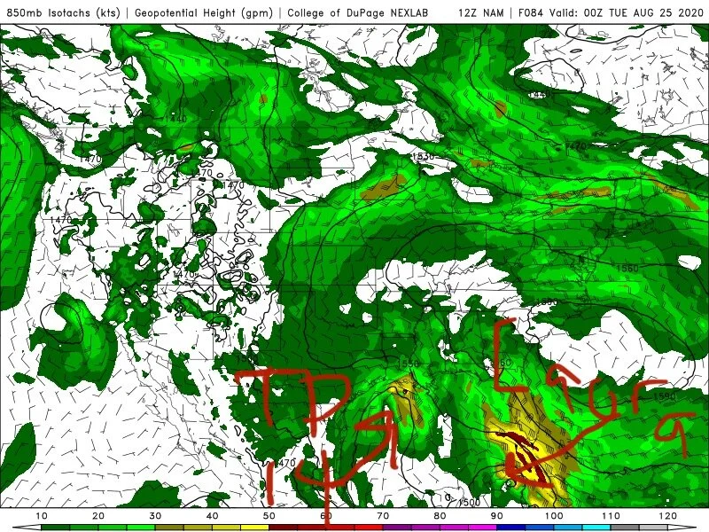 12z NAM