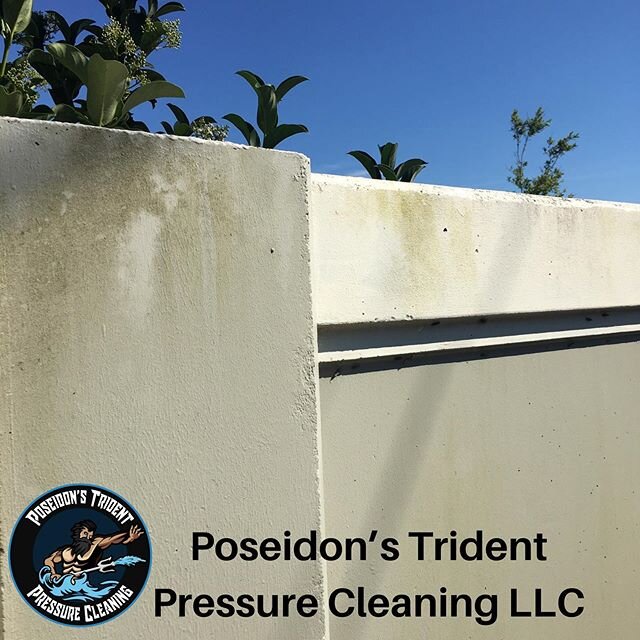 Cleaning the green can be so satisfying #poseidonstridentpressurecleaning #poseidonstridentpressurecleaningllc #pressure #pressurewashing #pressurecleaning #powerwashing #cleaning #satisfying #selfemployed #floridabusiness #florida #verobeach #lookin