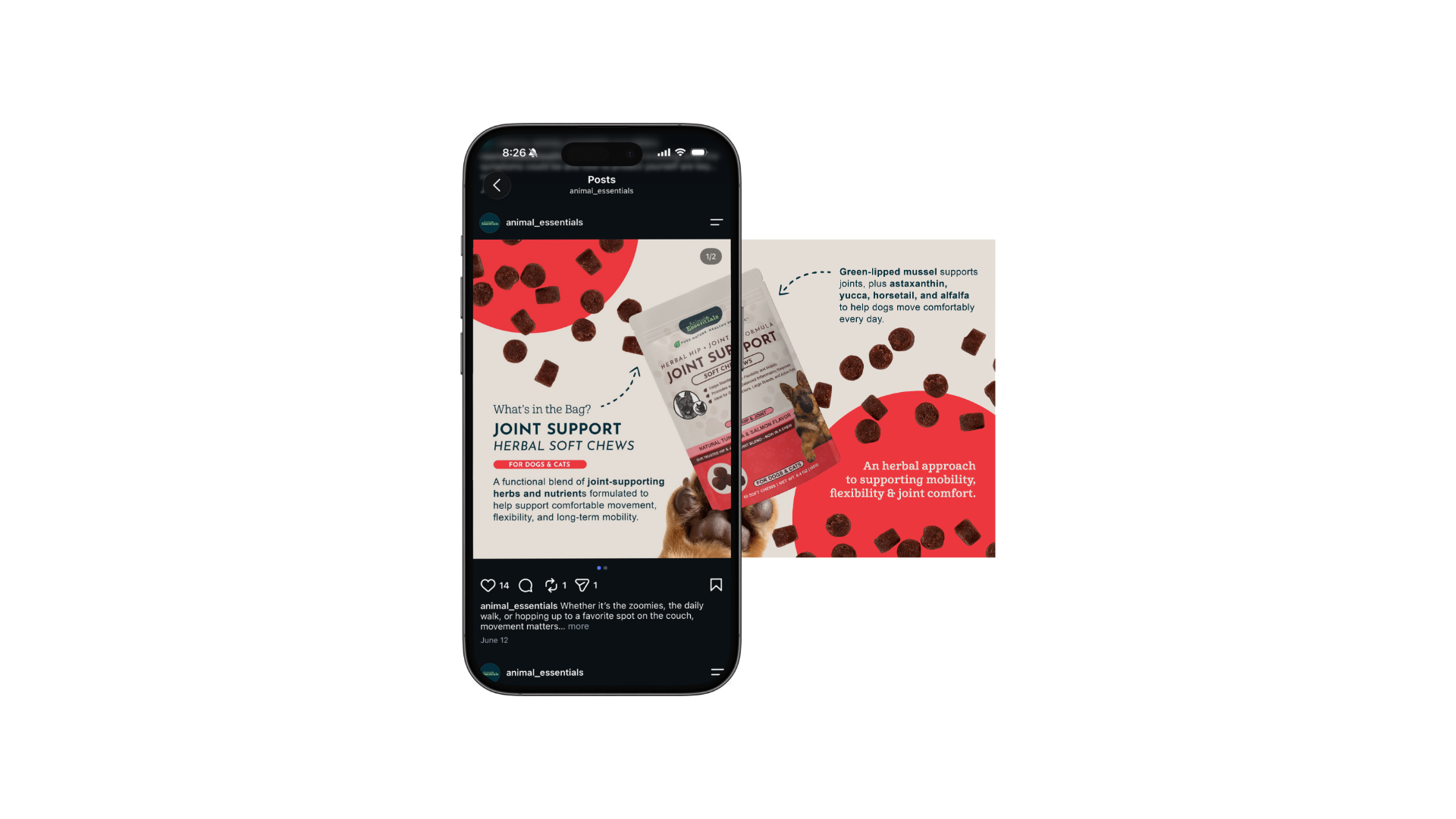 Animal Essentials