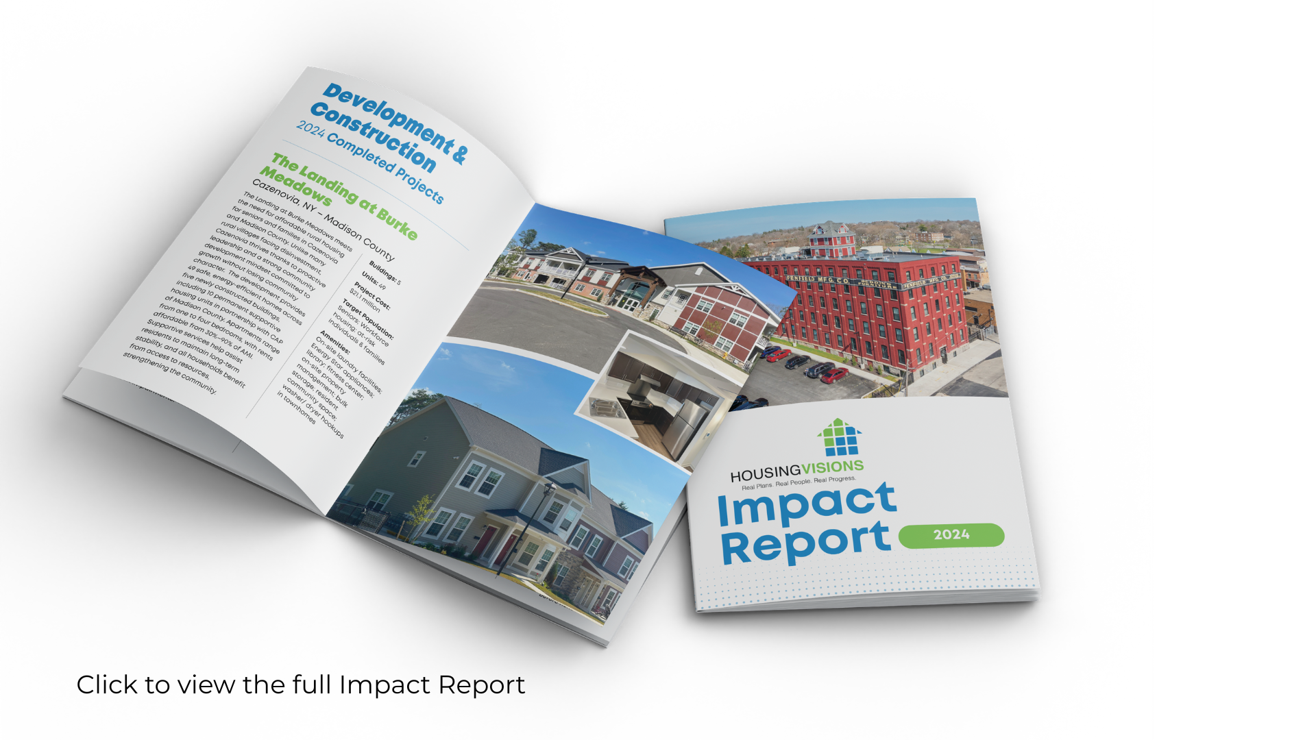 Click to view the full Impact Report