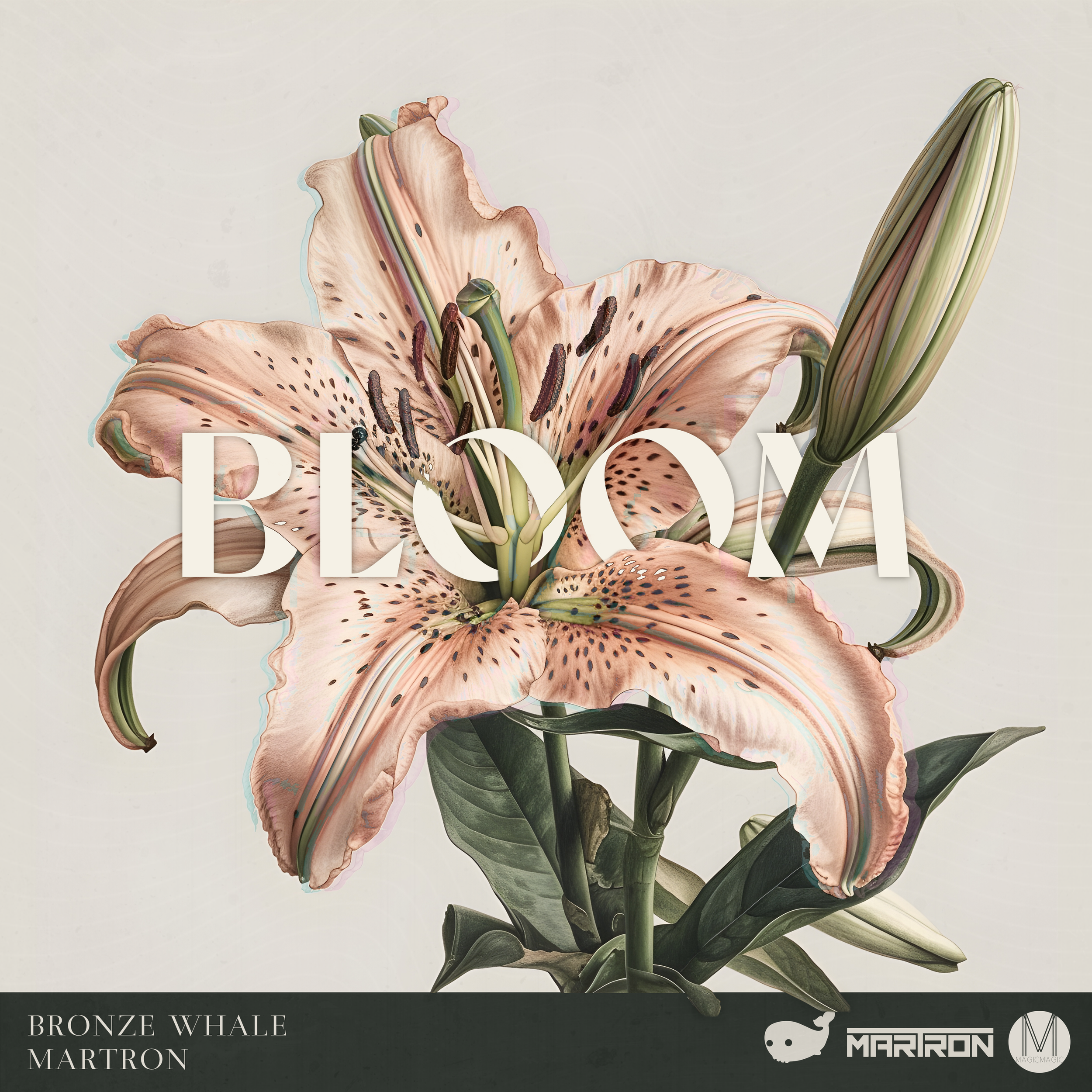 Bronze Whale x Martron - Bloom