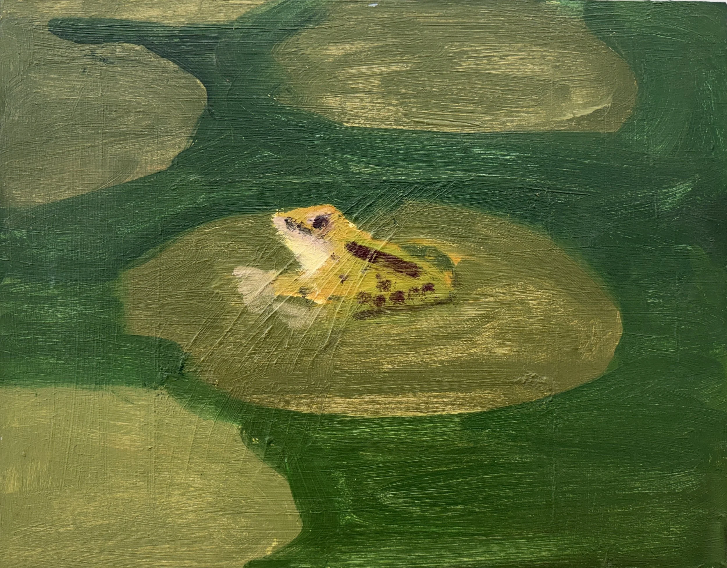 Matthew Zaccari, Wader, oil on masonite, 11 x 14  inches, 2025