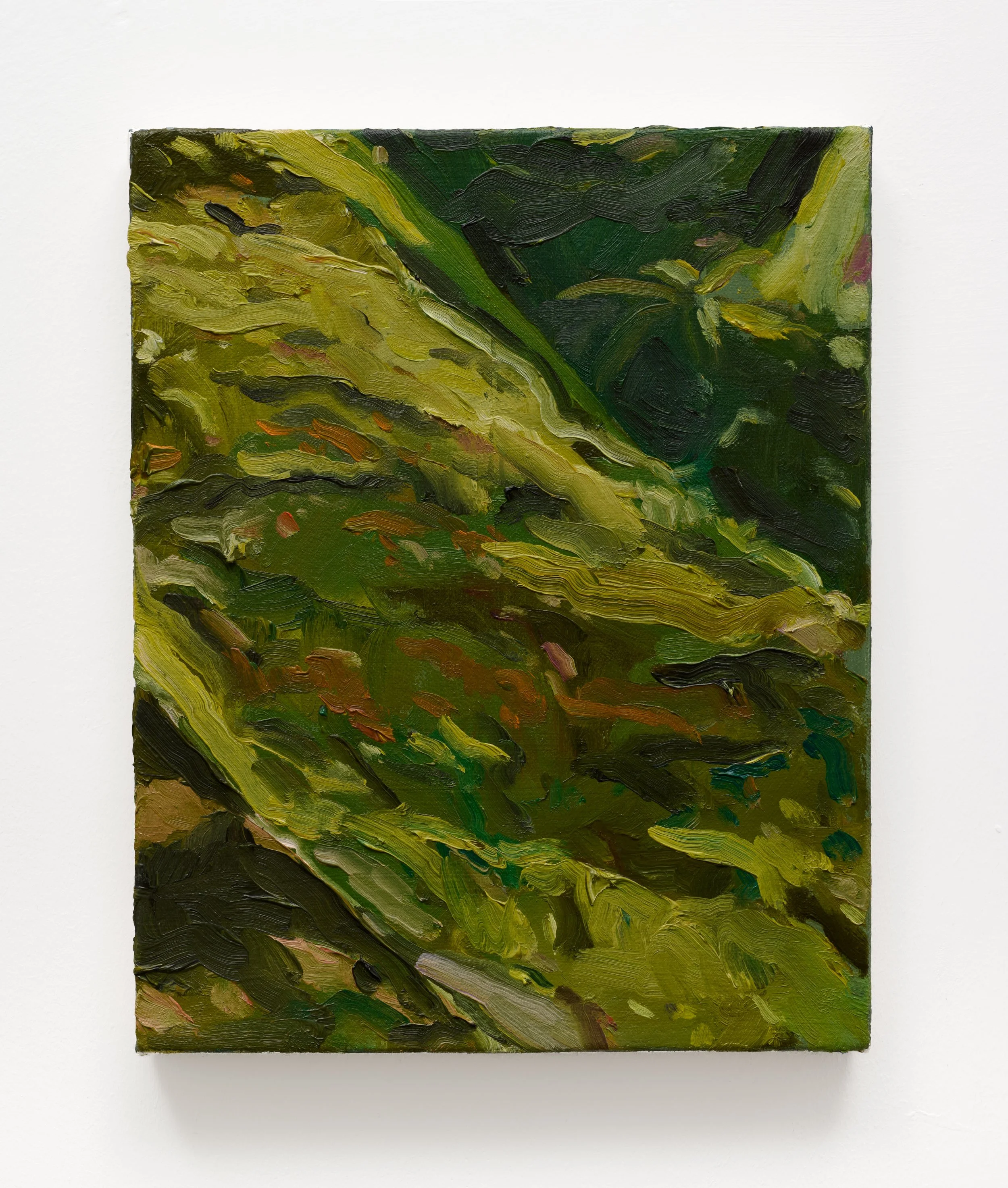 Tin Nguyen, “moss-trunk, wet, i know”, oil on canvas, 10 x 8 inches, 2026 