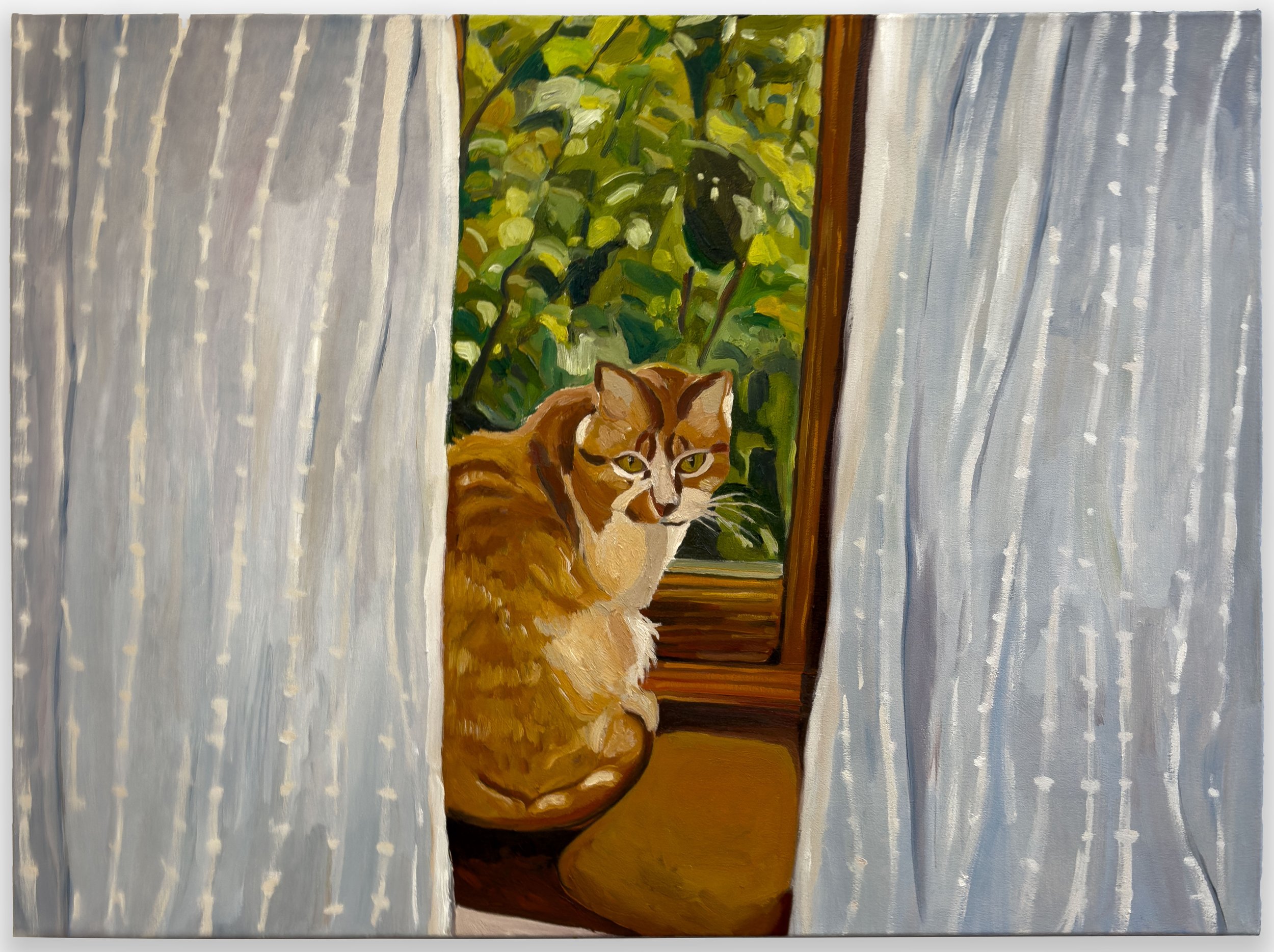 Tin Nguyen, “resting inside stillness, an unexpected teacher”, oil on canvas, 30 x 40 inches, 2025