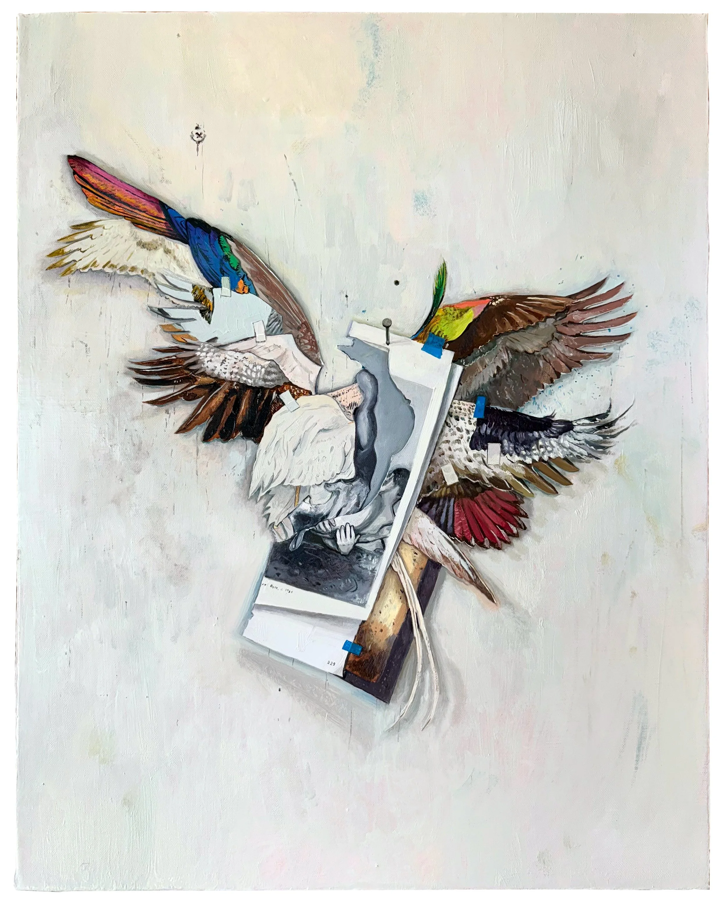 Hank Ehrenfried, "Wings", 20 x 16 inches, Oil on linen, 2025