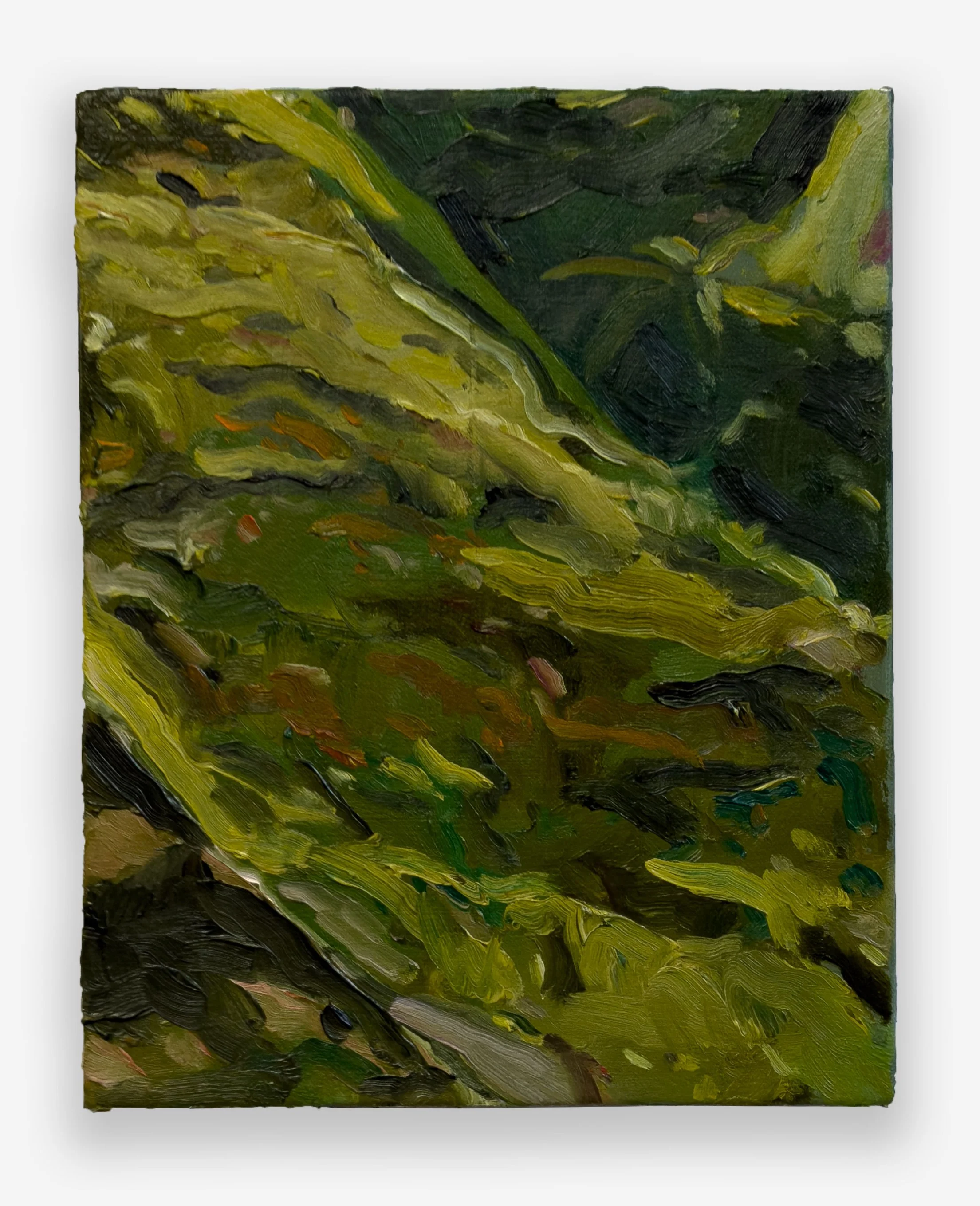 Tin Nguyen, “moss-trunk, wet, i know”, oil on canvas, 10 x 8 inches, 2026 