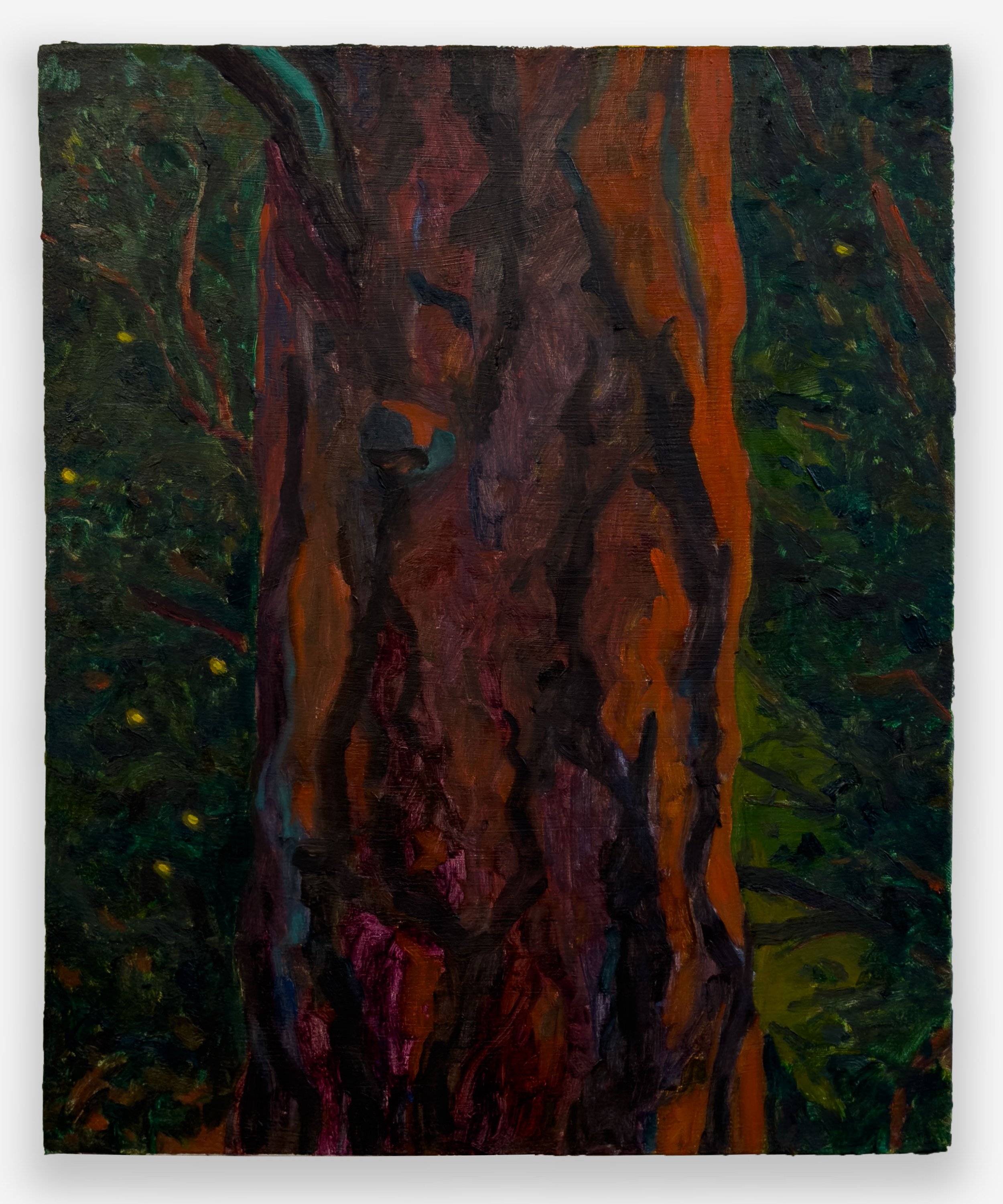 Tin Nguyen, “after our first encounter, an evening spell beside the fire-tree”, oil on canvas, 24 x 20 inches, 2026