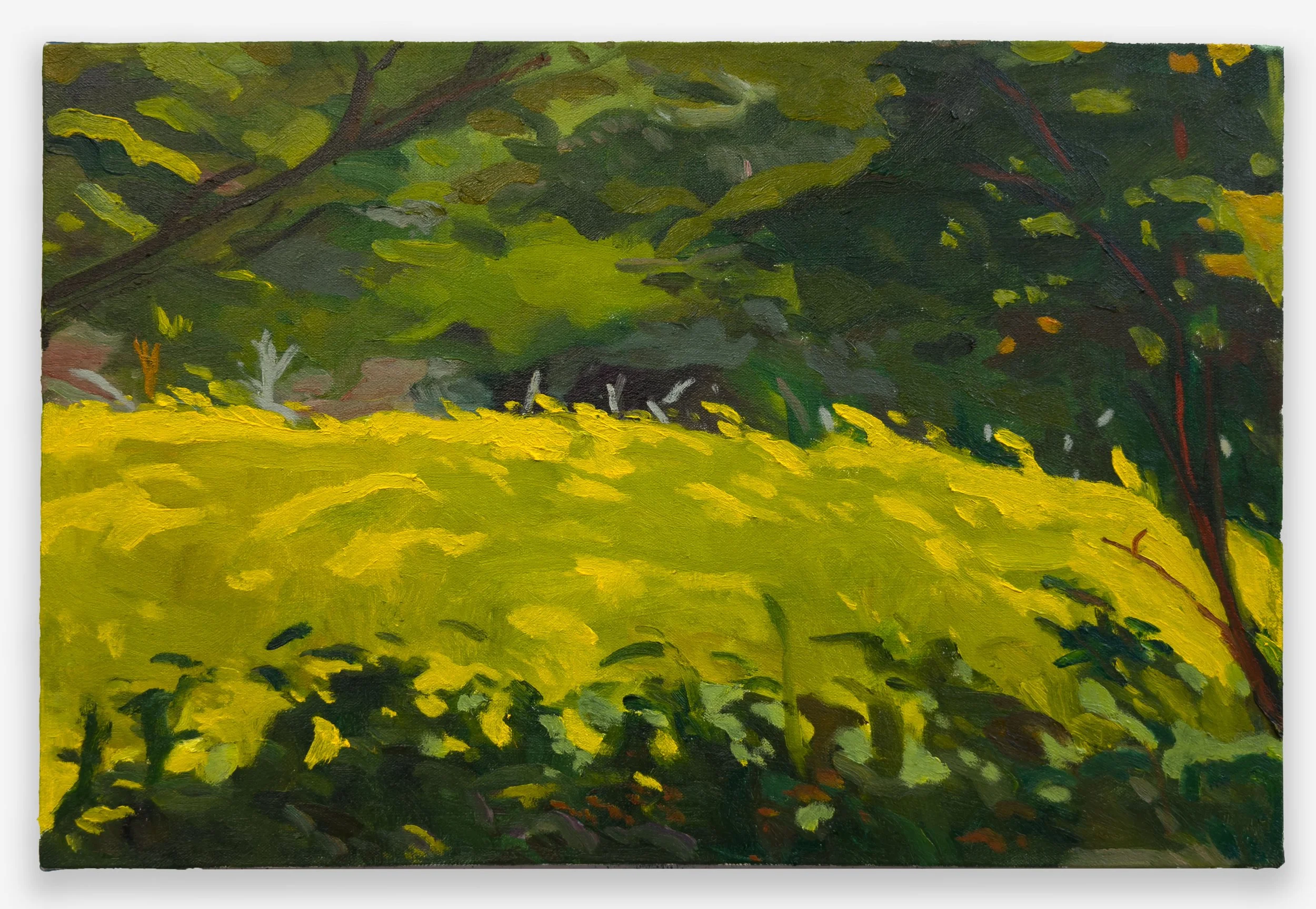 Tin Nguyen, “how brilliant these golden rods, a sun-court of such”, oil on canvas, 14 x 21 inches, 2025