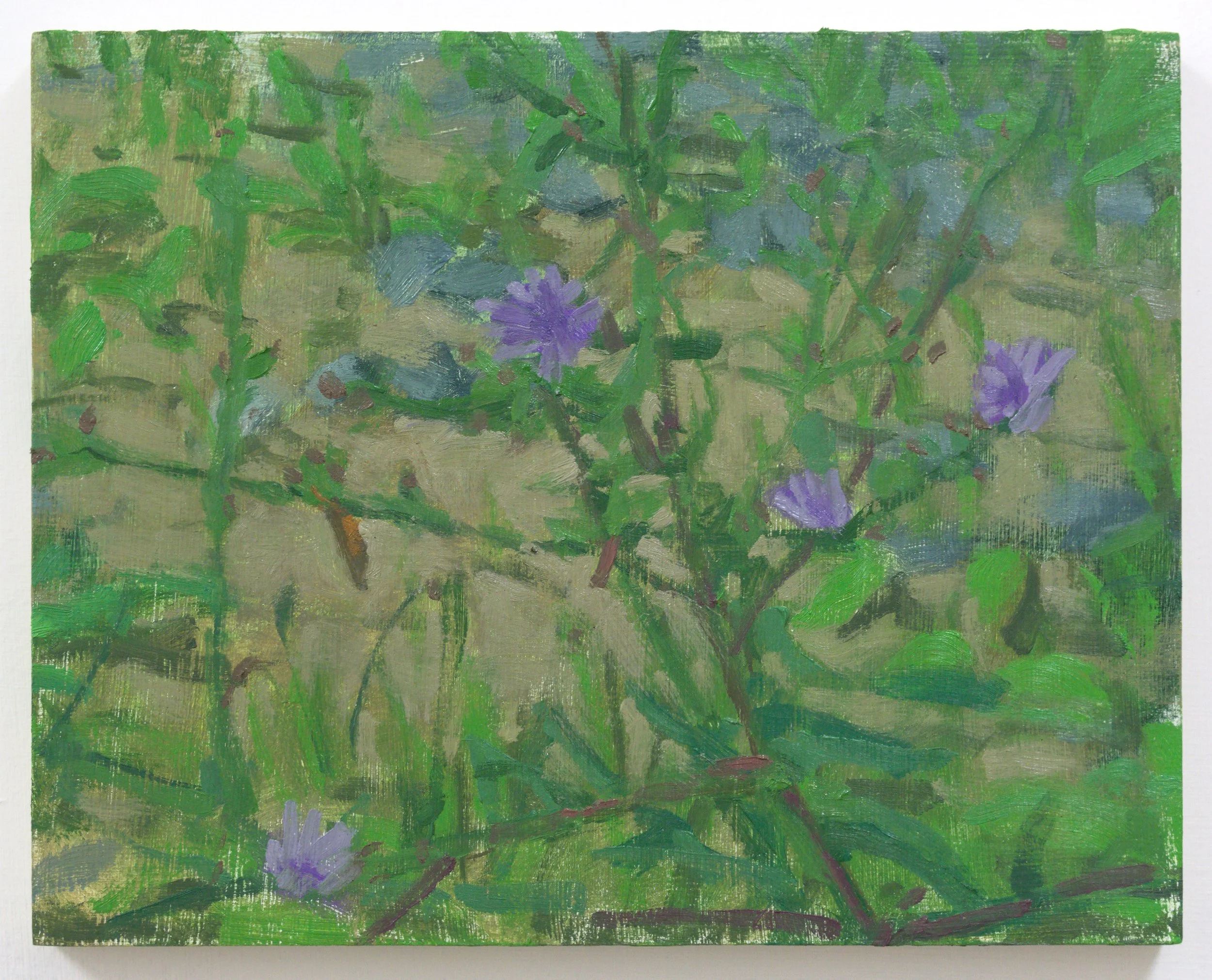 Nathan Mullins, "Highland Meadows Cattle Retreat, Lansing, NC (no. 4 - chicory & butterfly)", oil on panel, 8 x 10 inches, 2023
