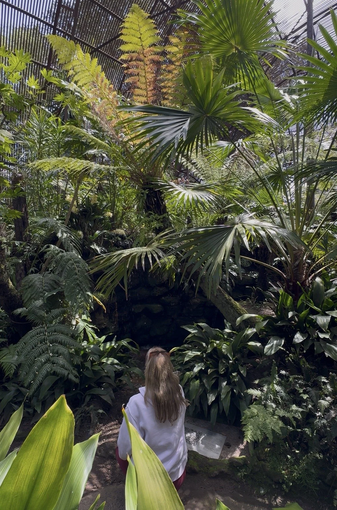 Water droplets, Rippon Lea Estate