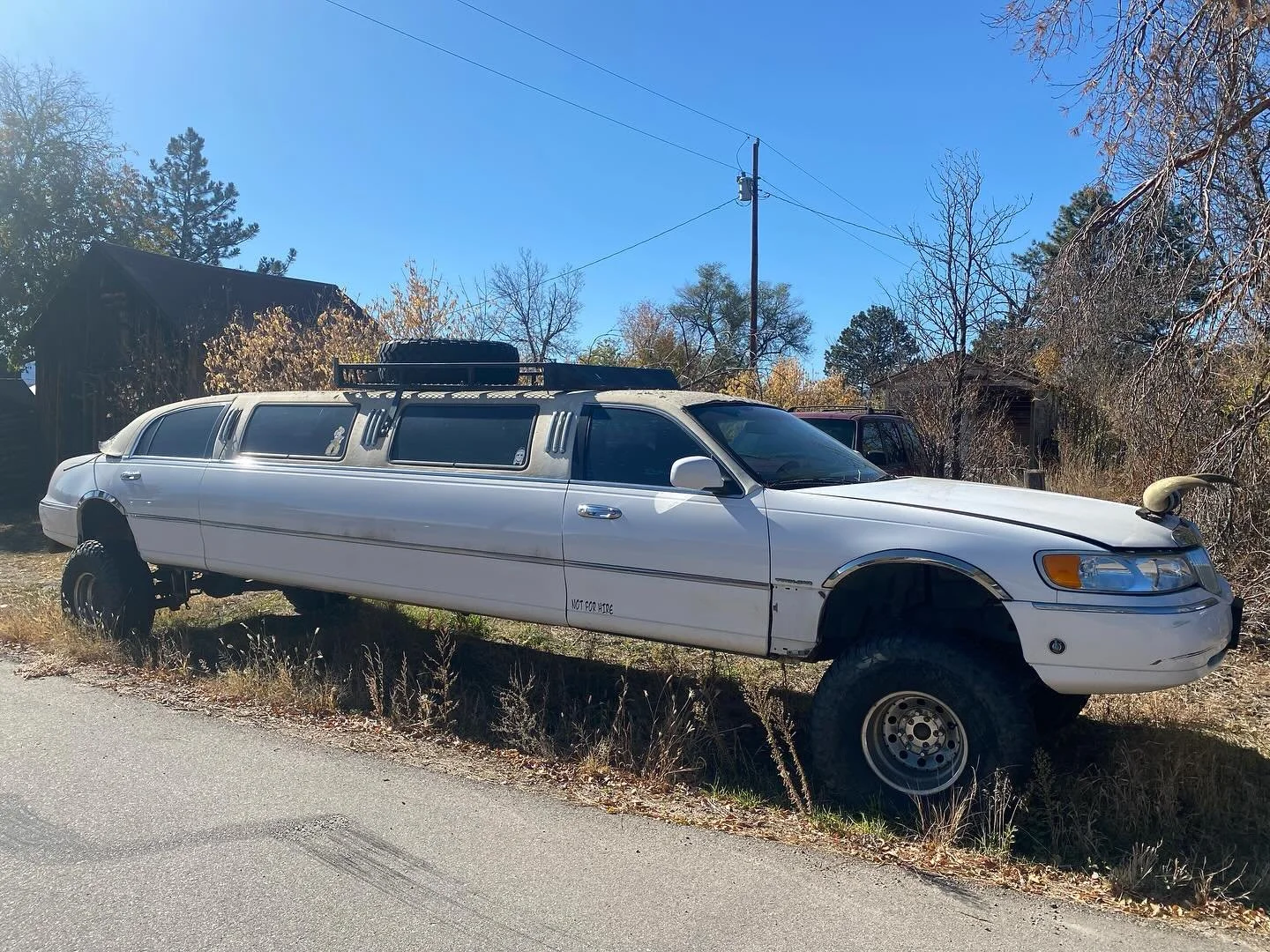 Thinking of buying a new tour vehicle 🚗🚙🏎️🚕🚘🚖🚕🚘🚕🚗🏎️ We&rsquo;re thinking Longhorns, what do y&rsquo;all think???? #tourlife #stretchlimo #tourinstyle