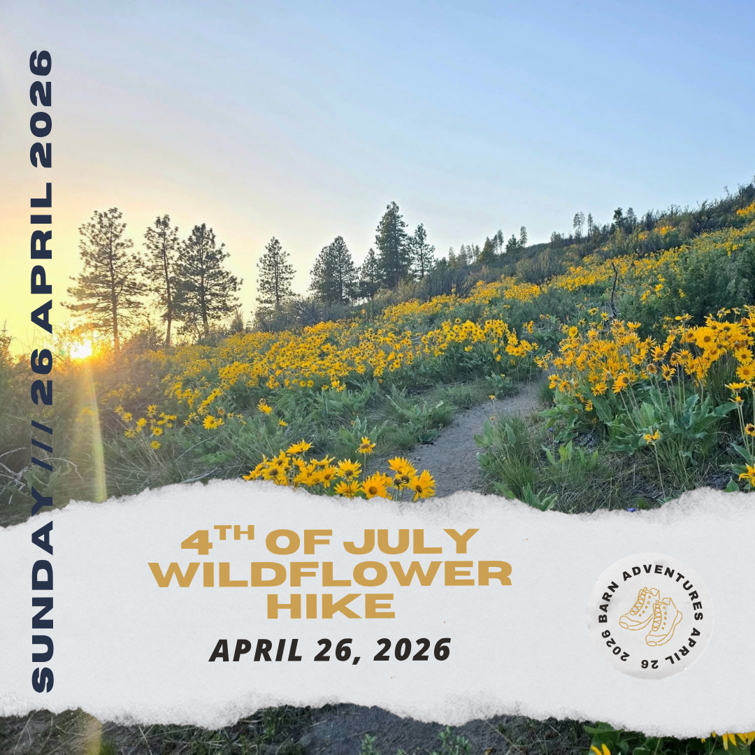 Wildflower Hike